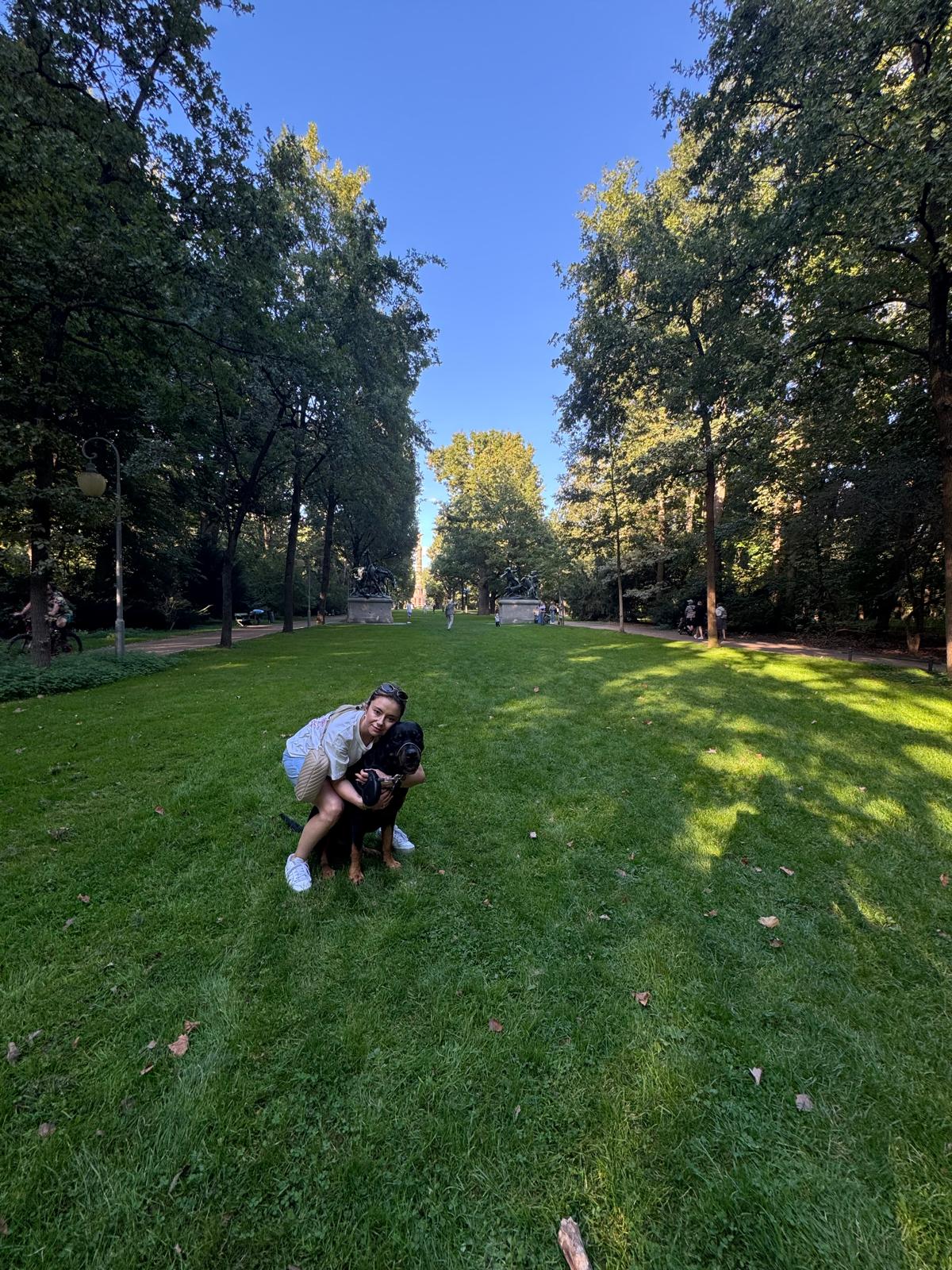 image-9
