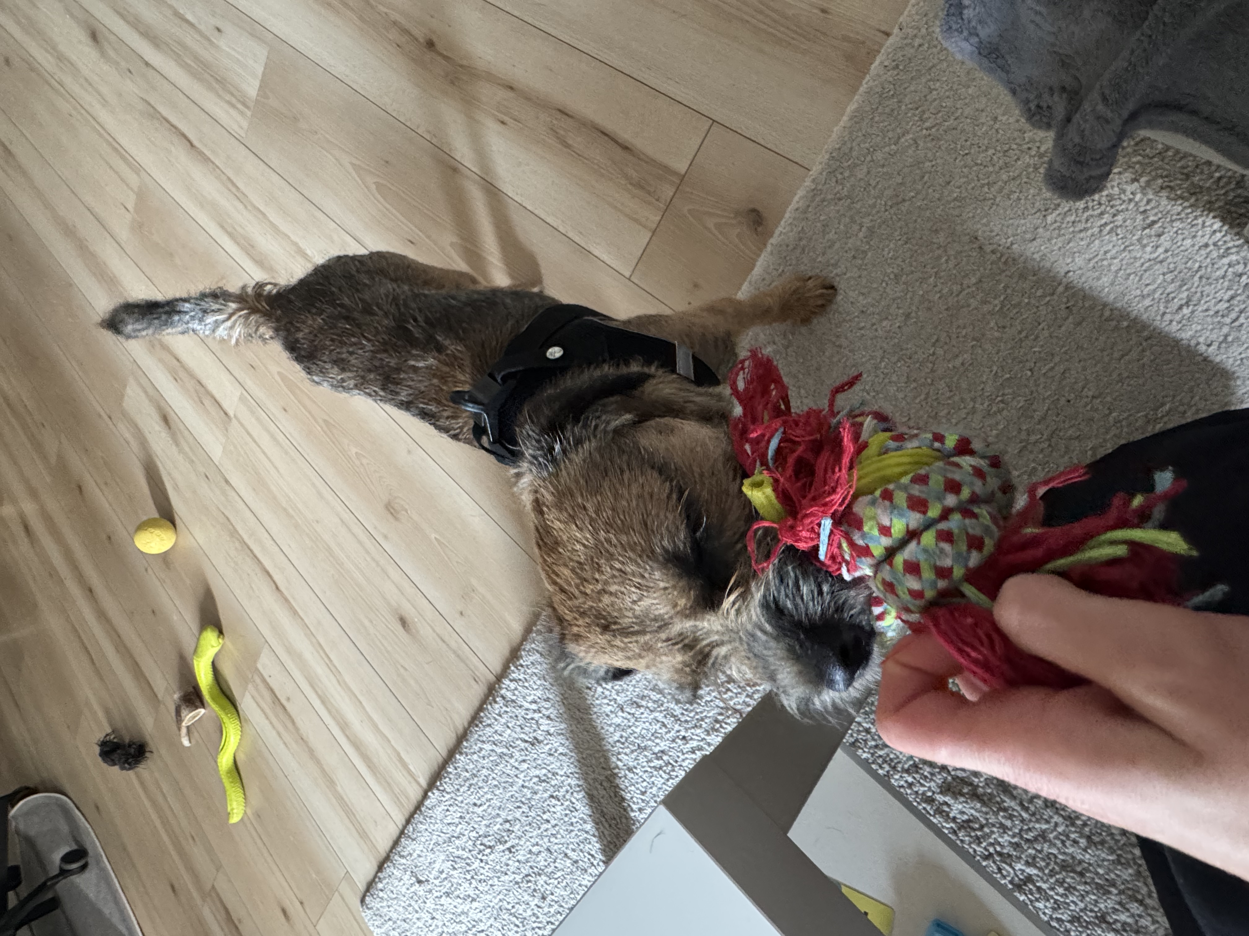 image-20