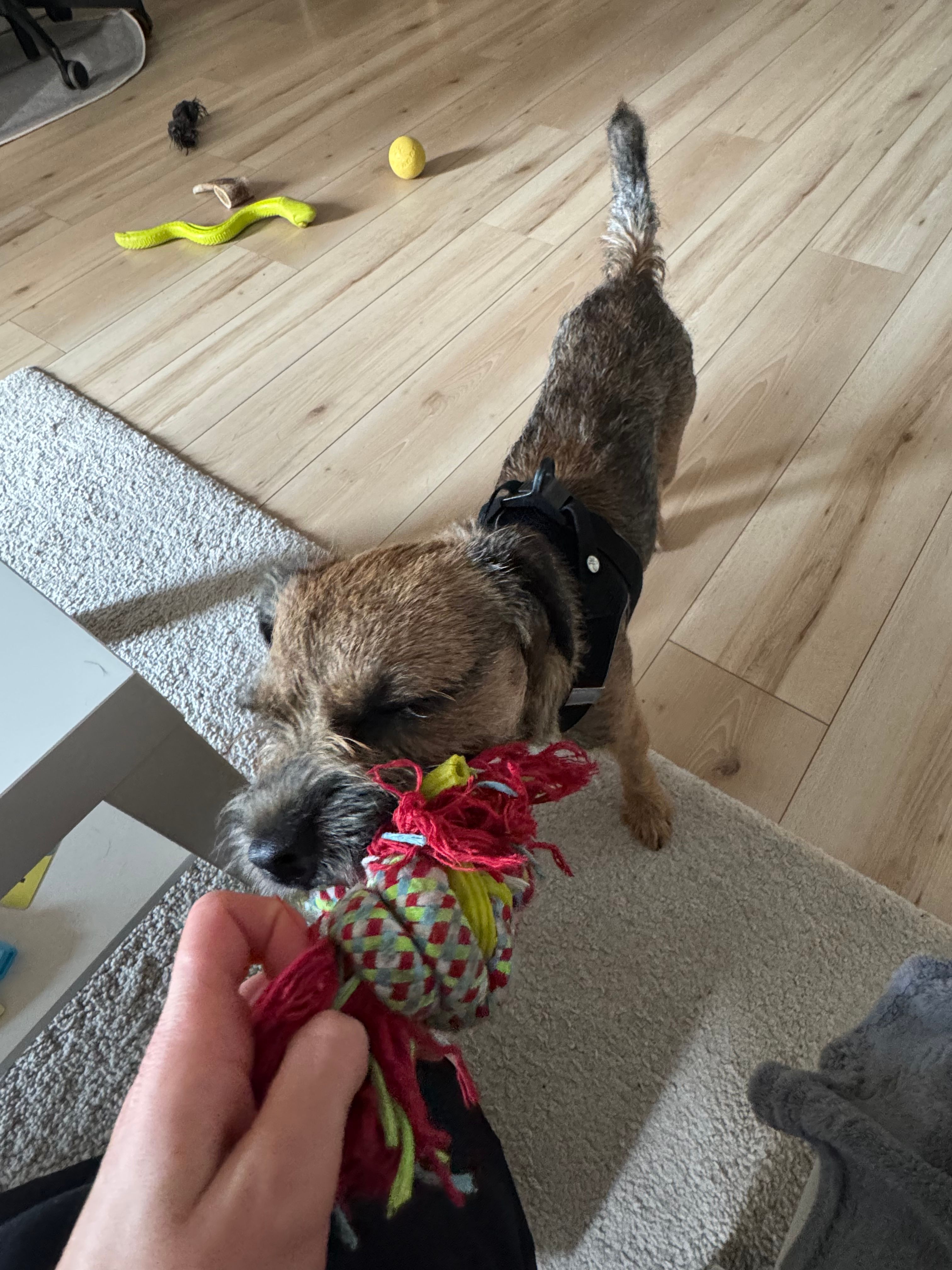 image-20