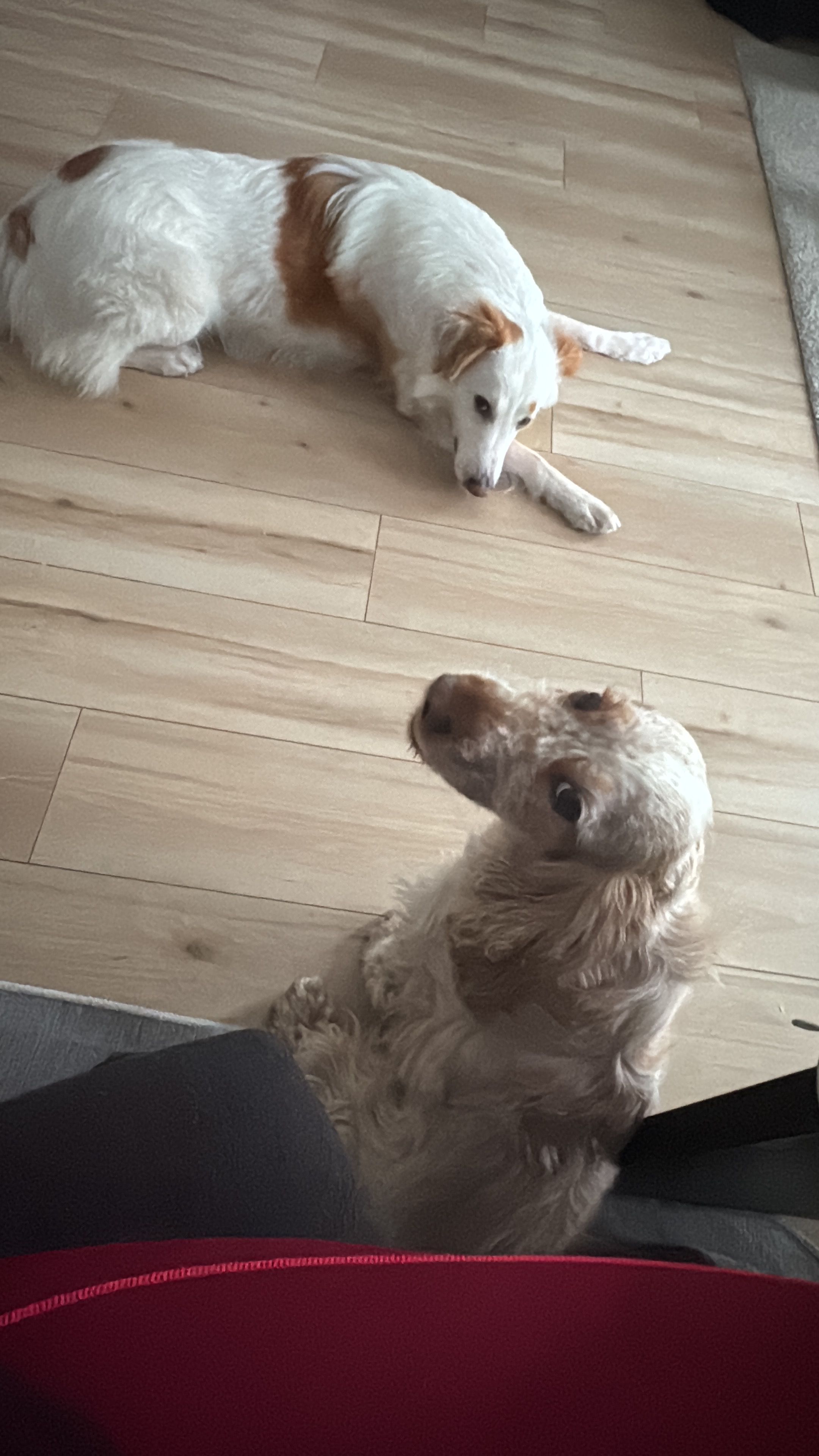 image-79