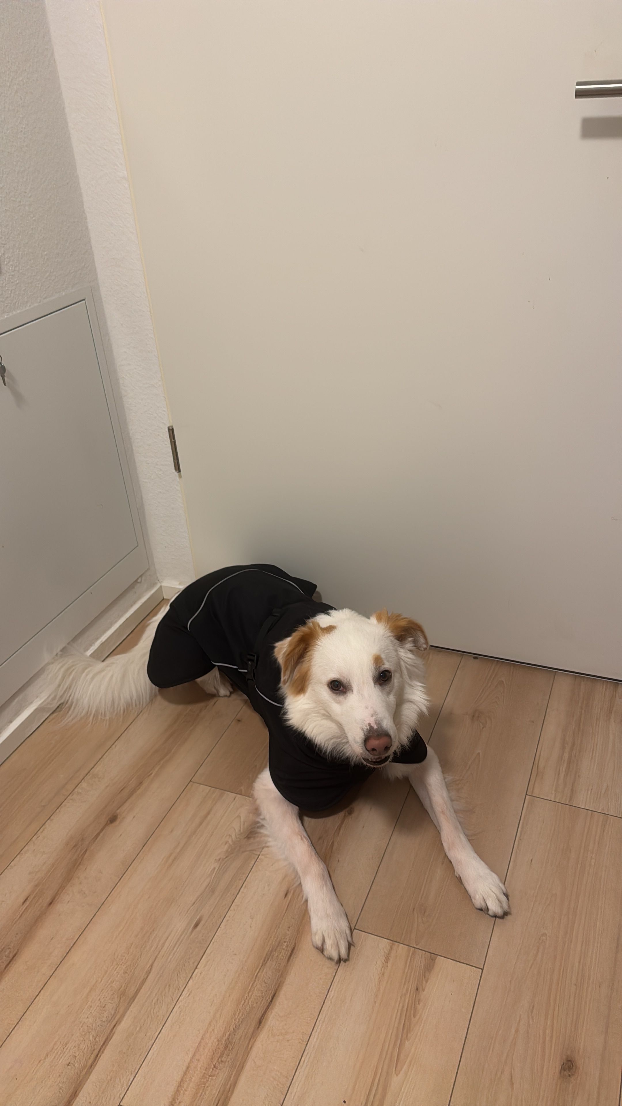 image-46