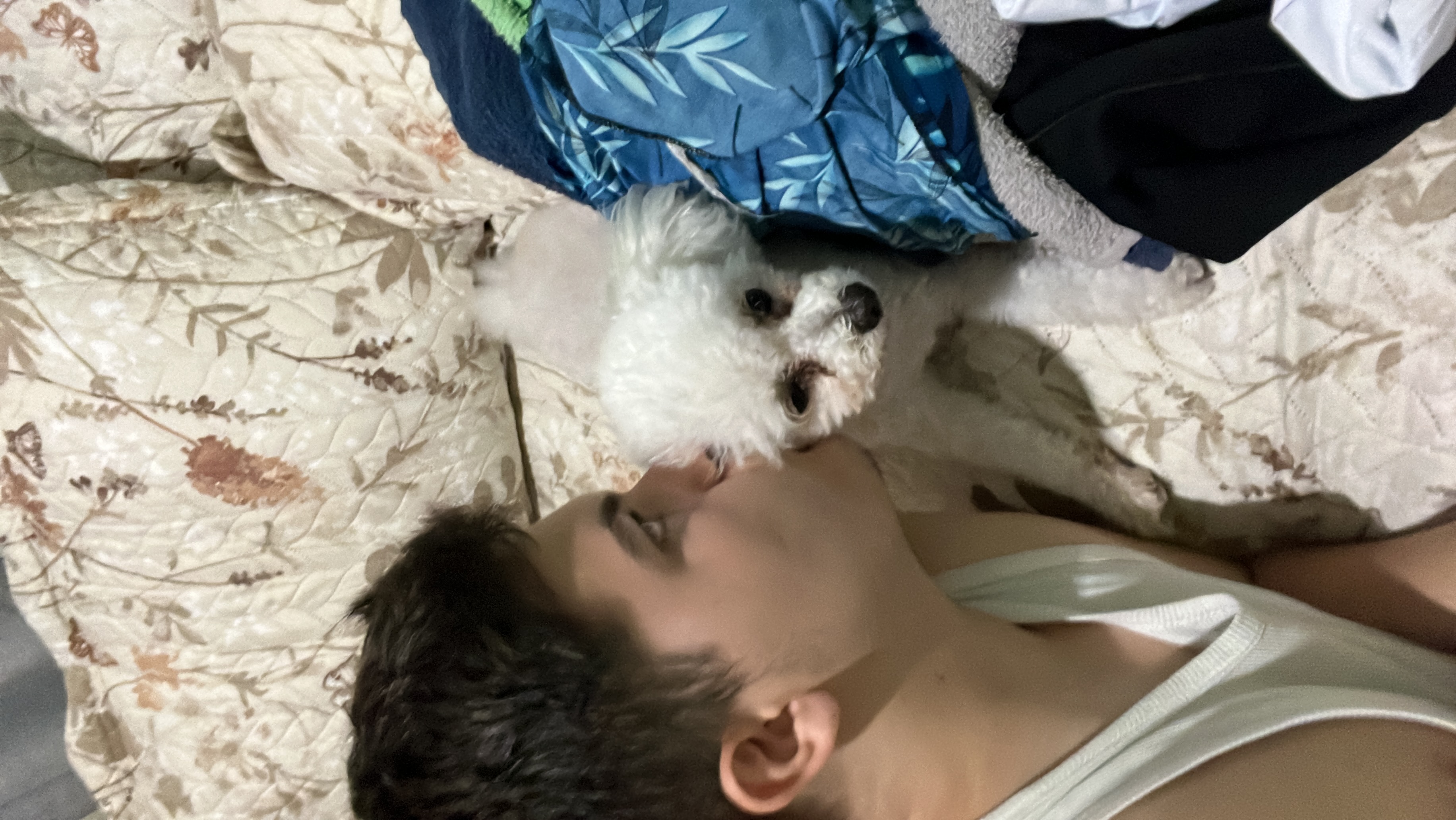 image-4