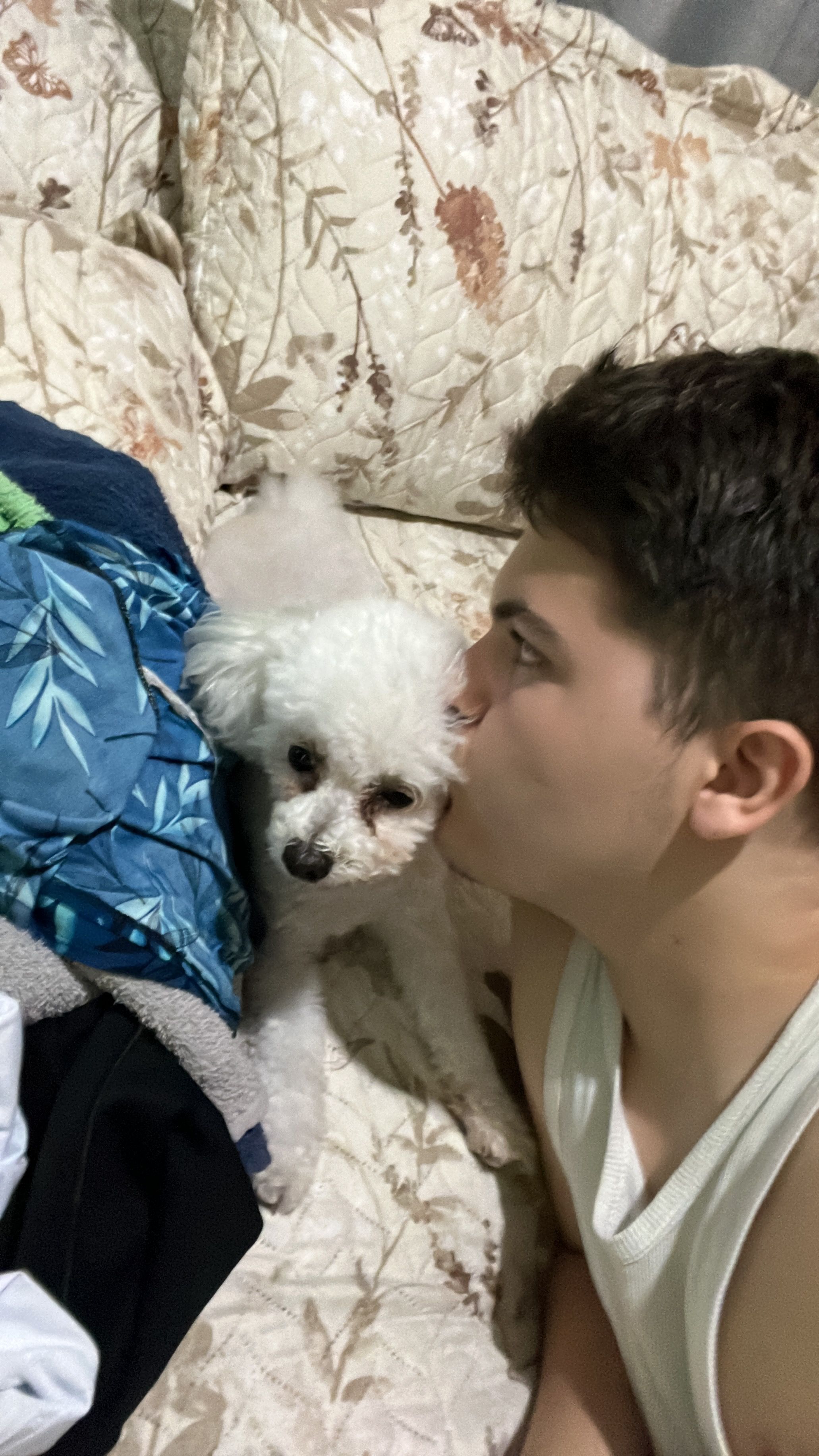 image-4