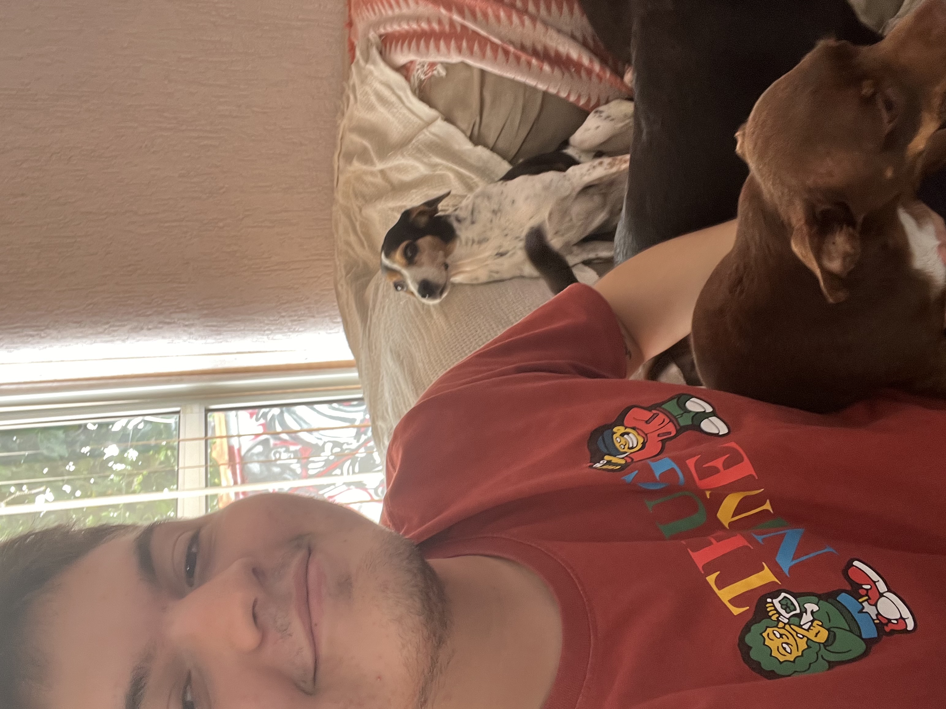 image-6