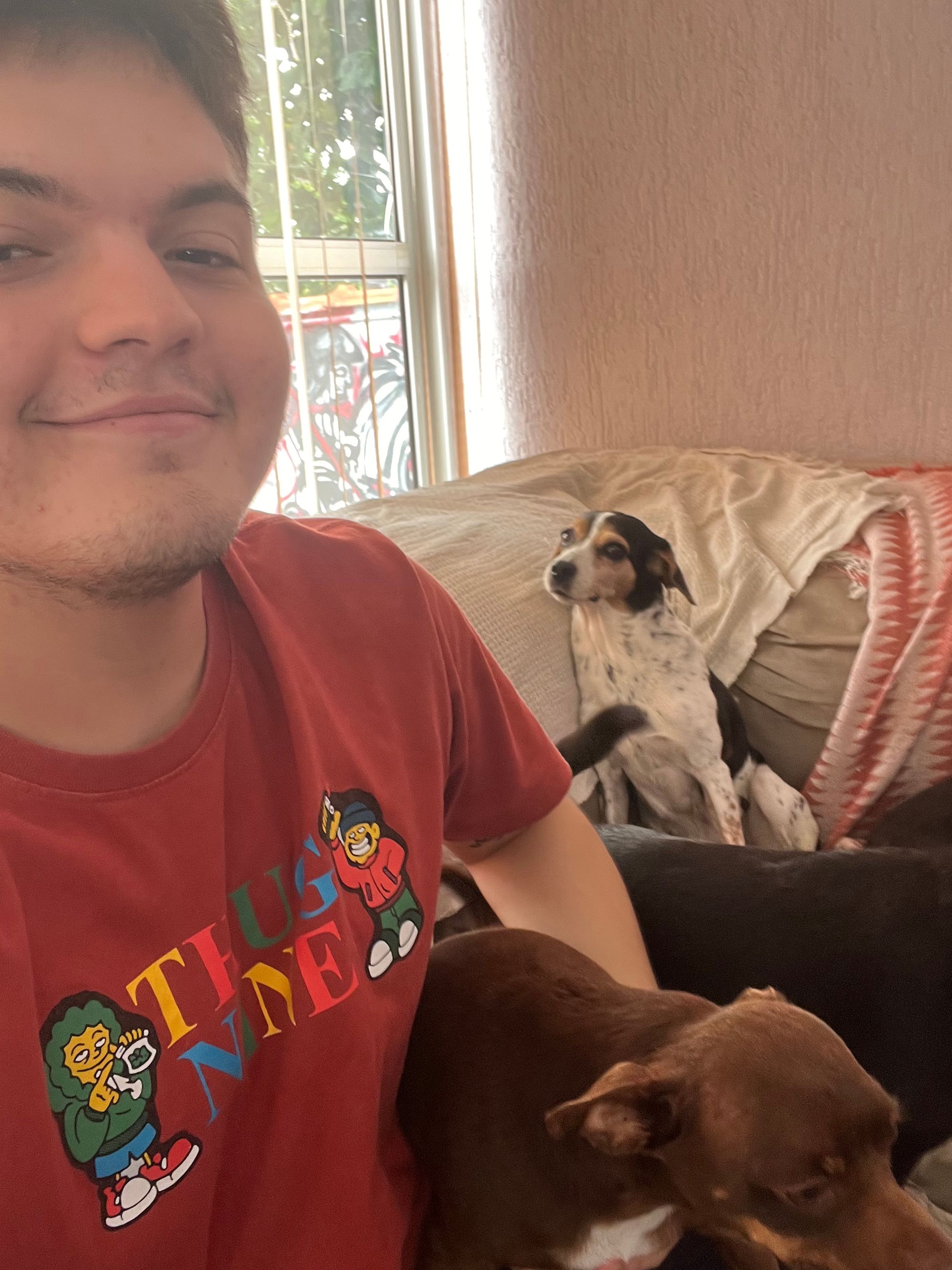 image-6