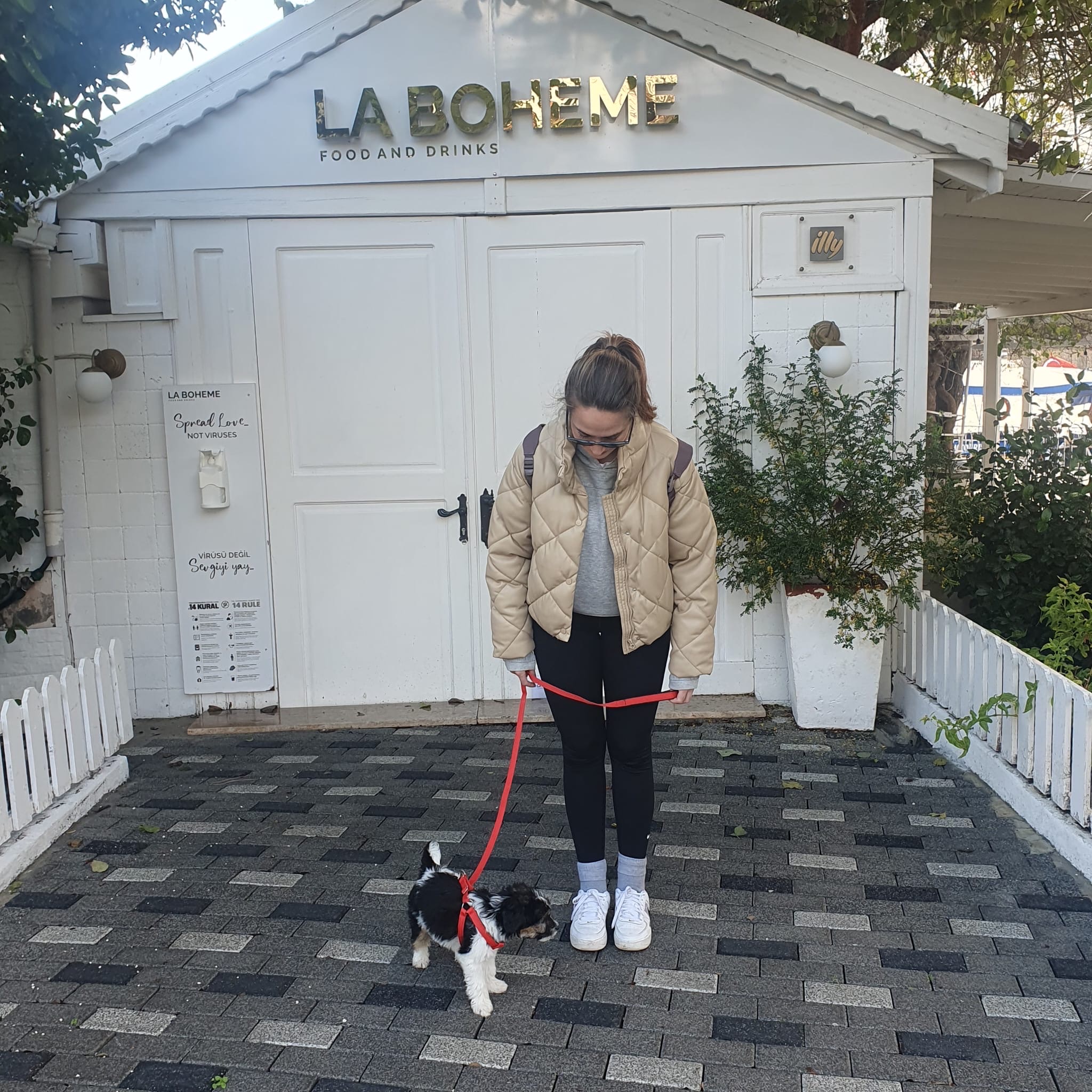 image-6