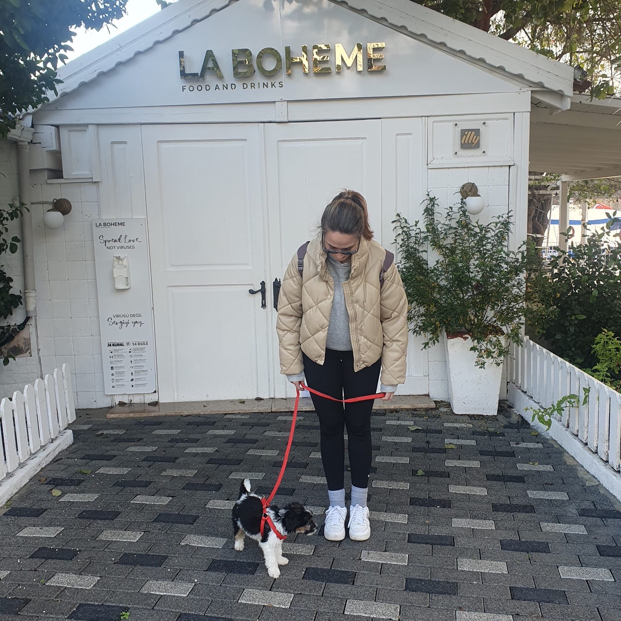 image-6