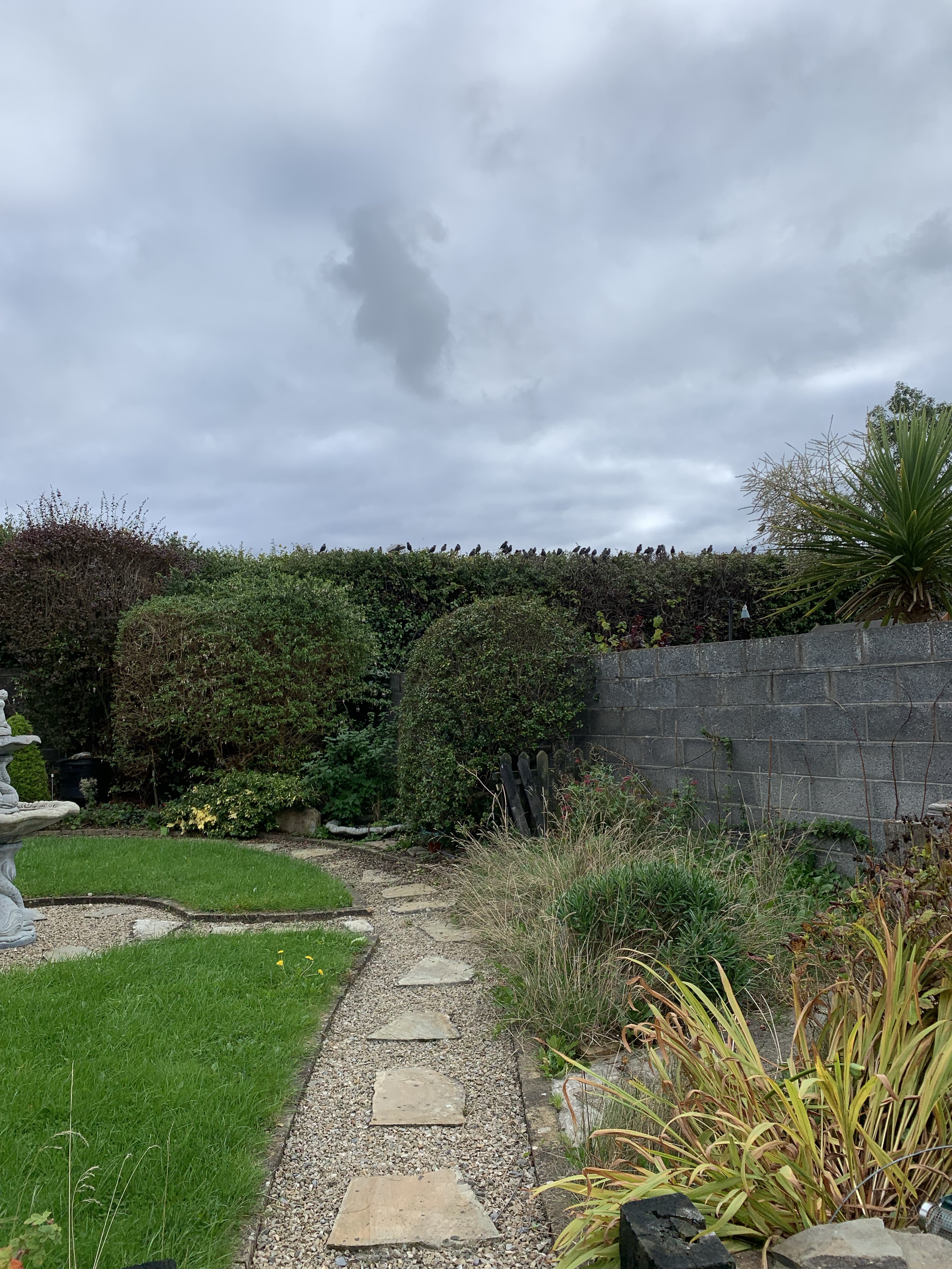 image-11