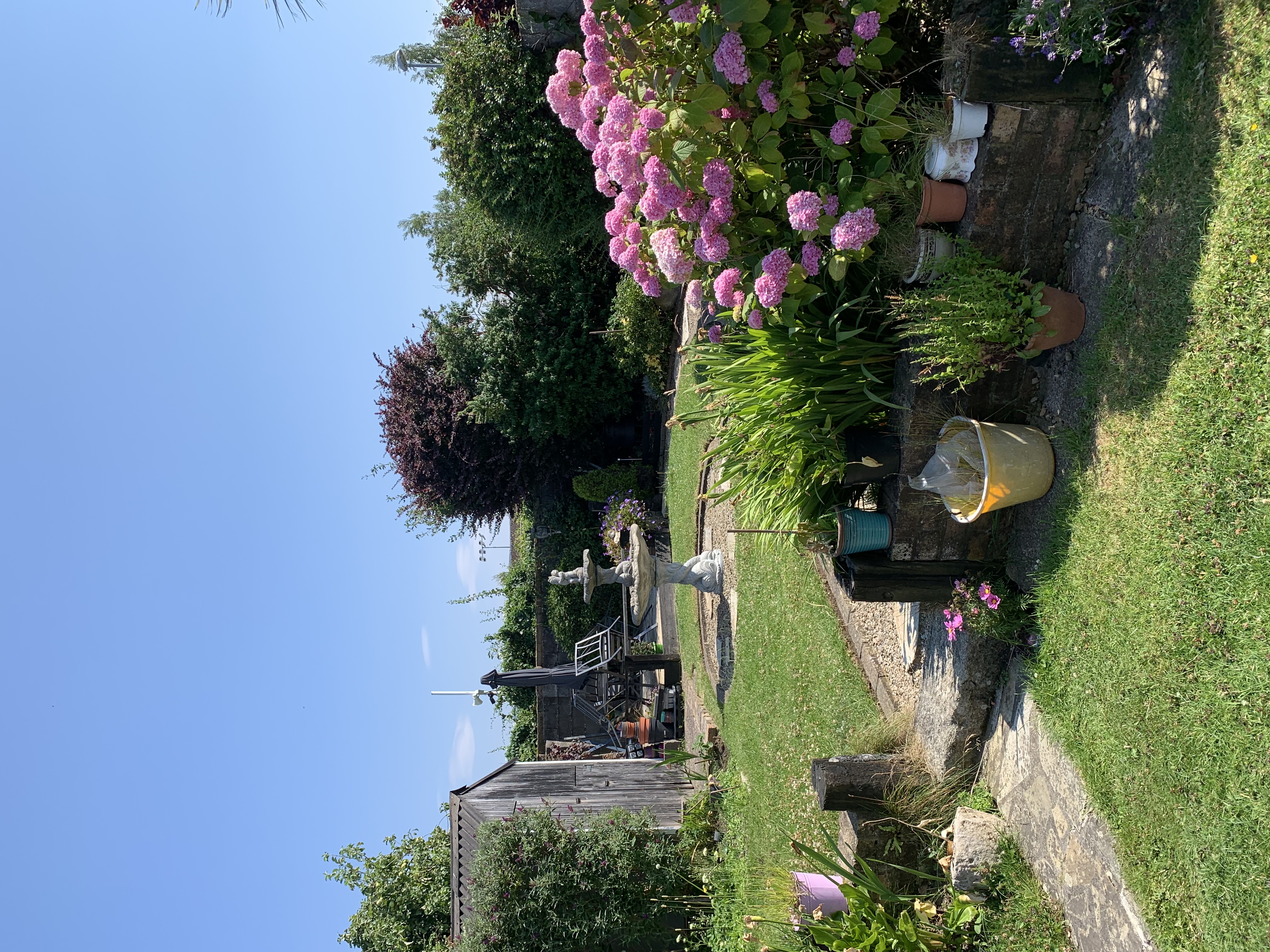 image-16