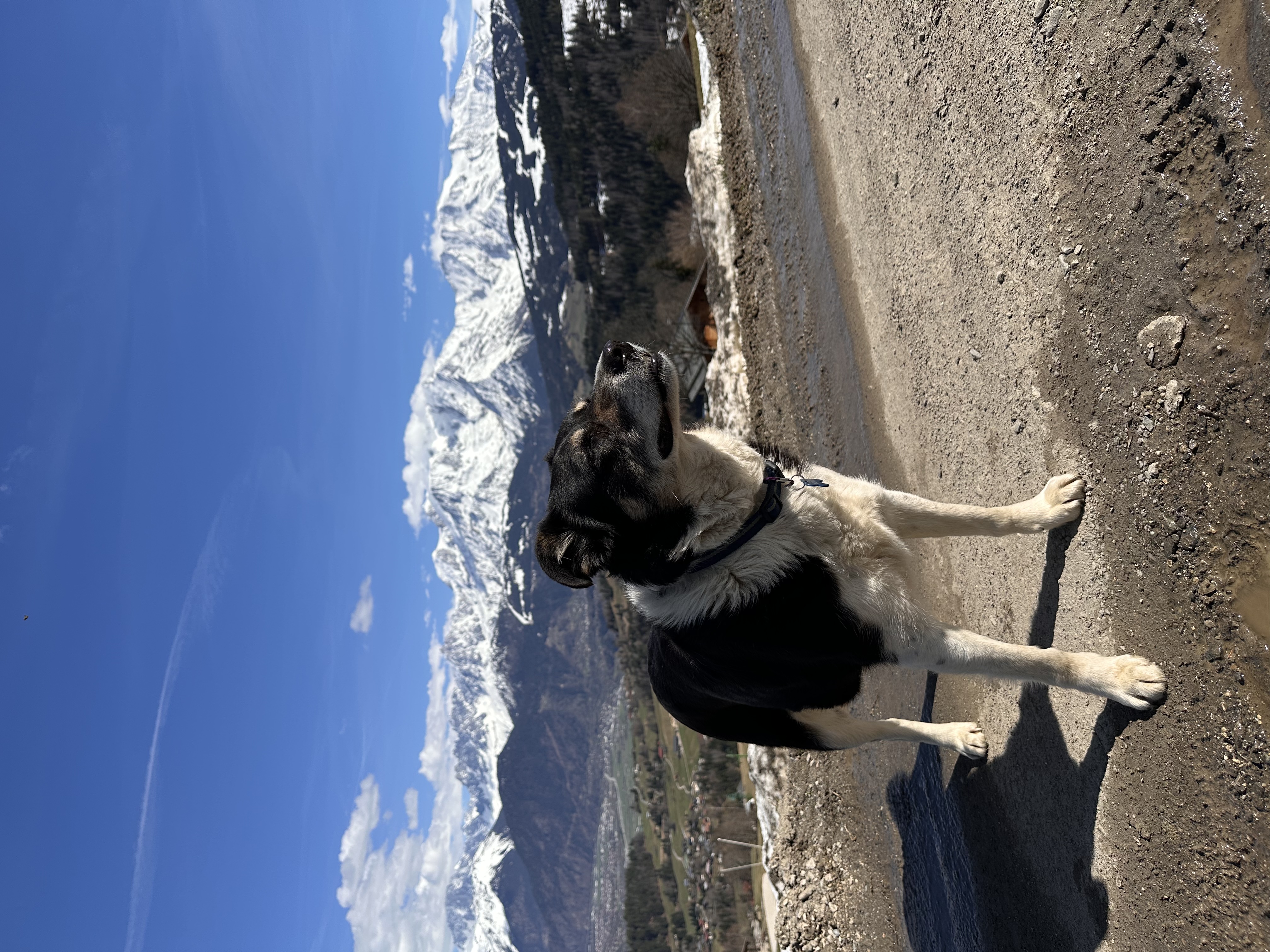 image-5