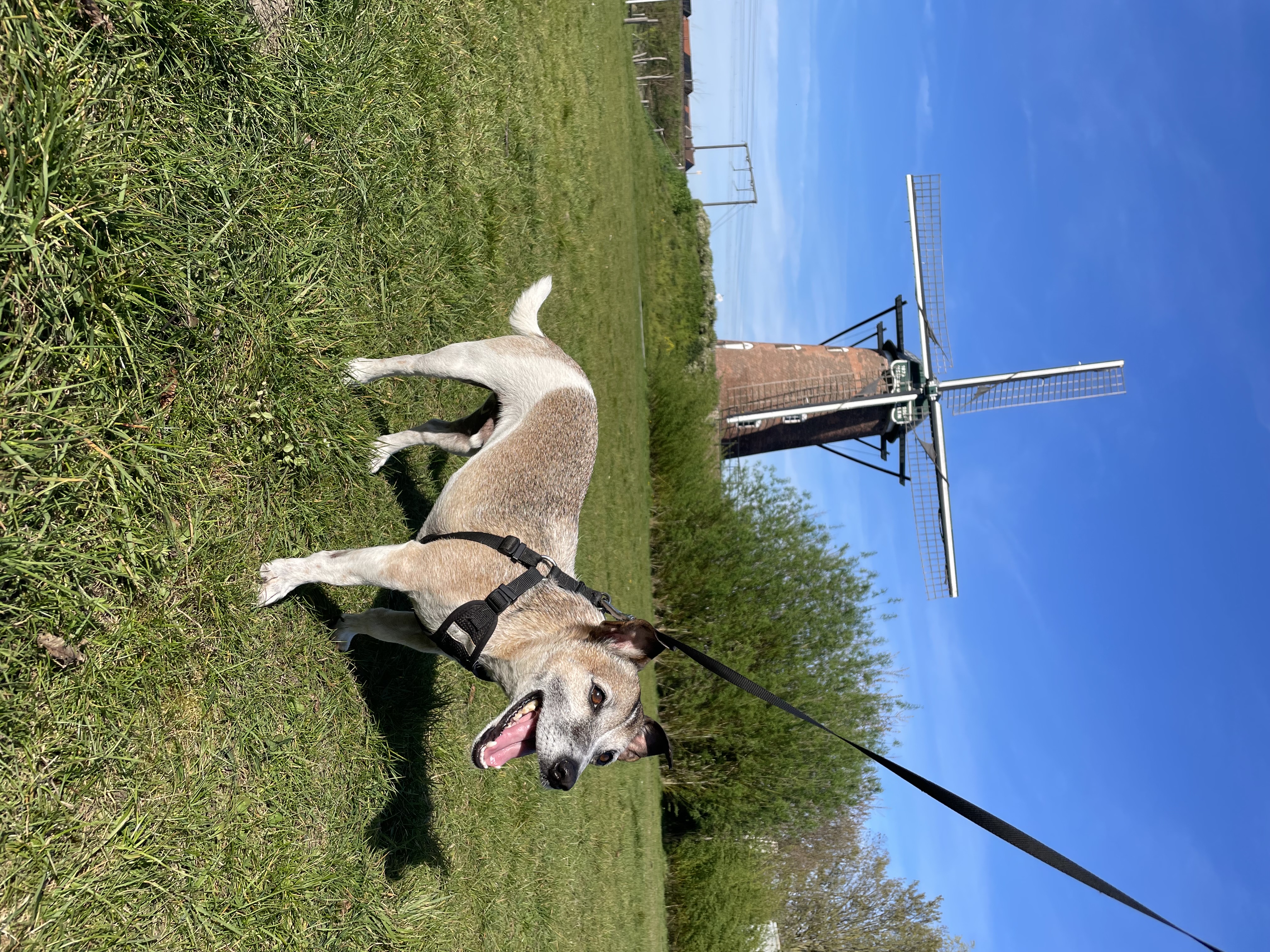 image-11