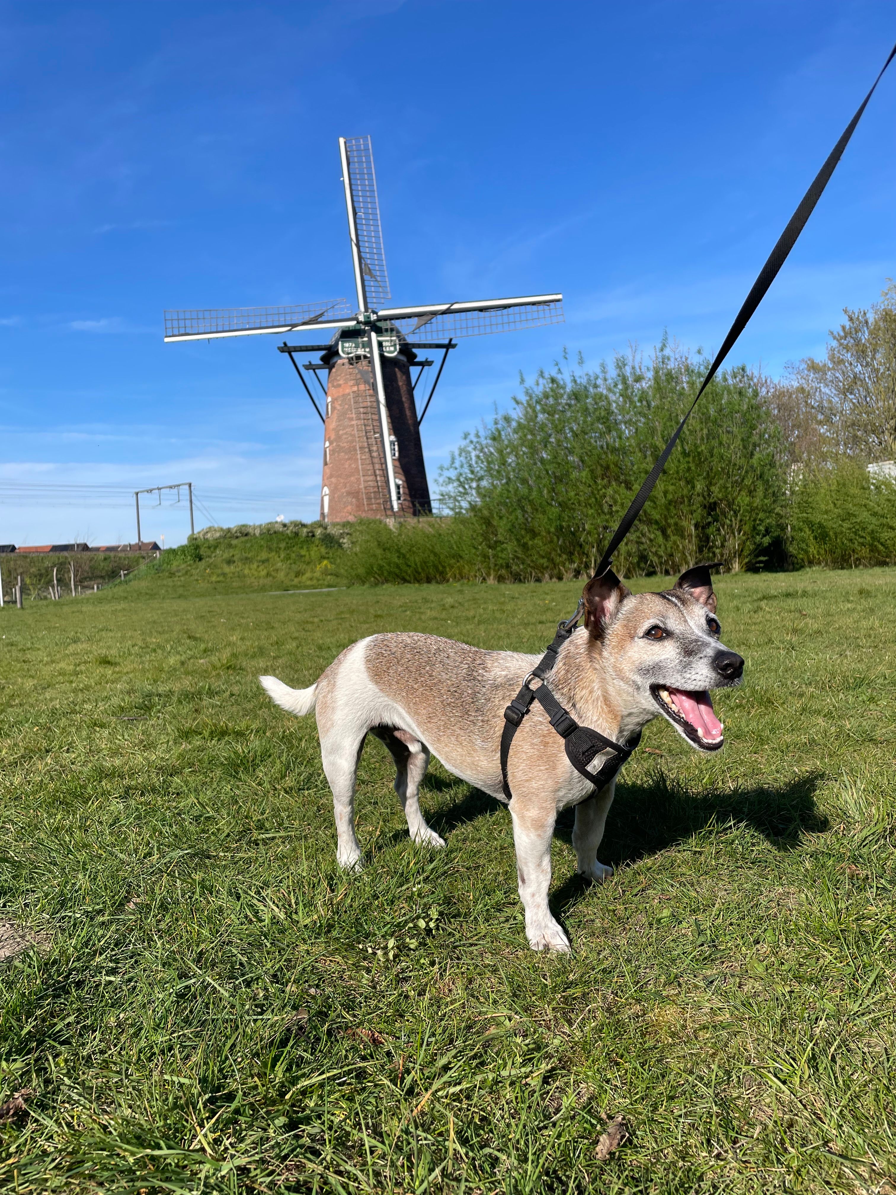 image-11