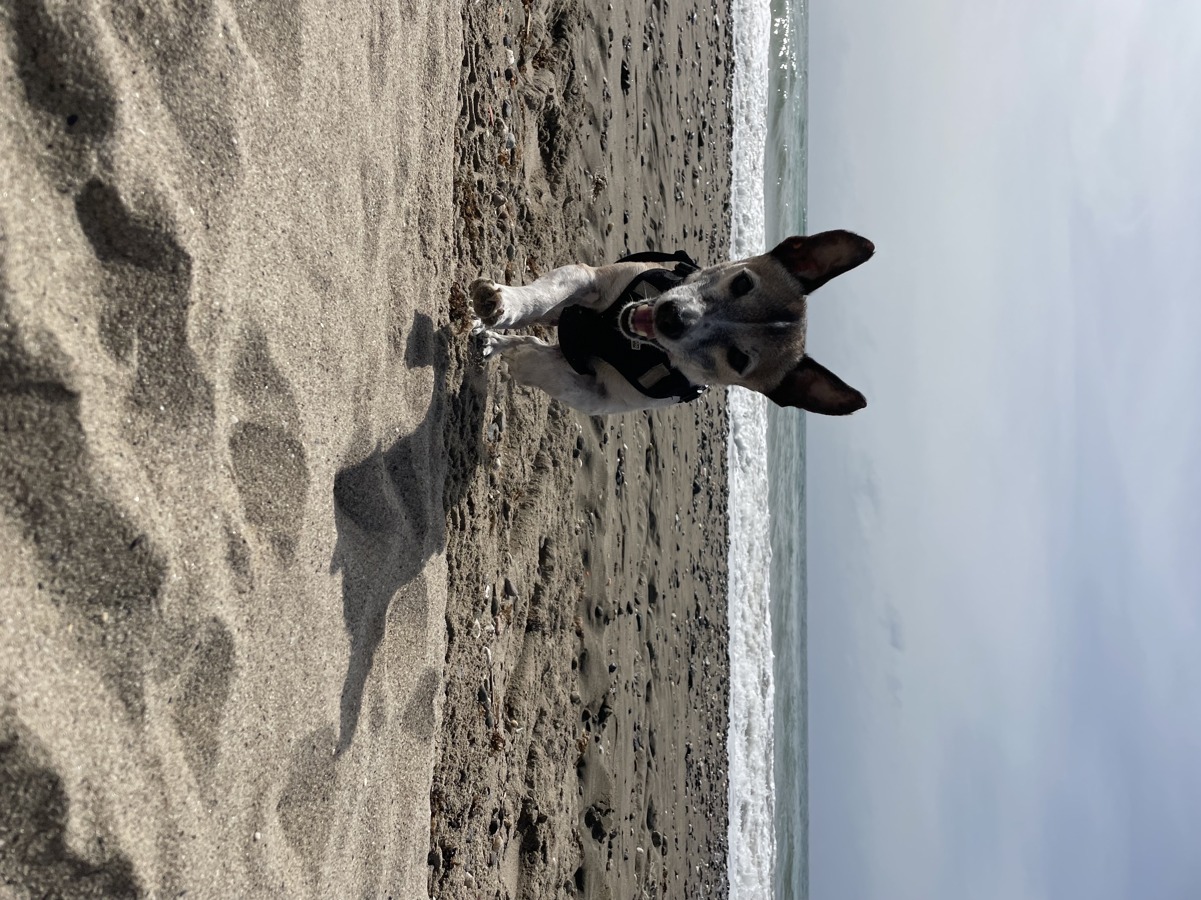 image-9