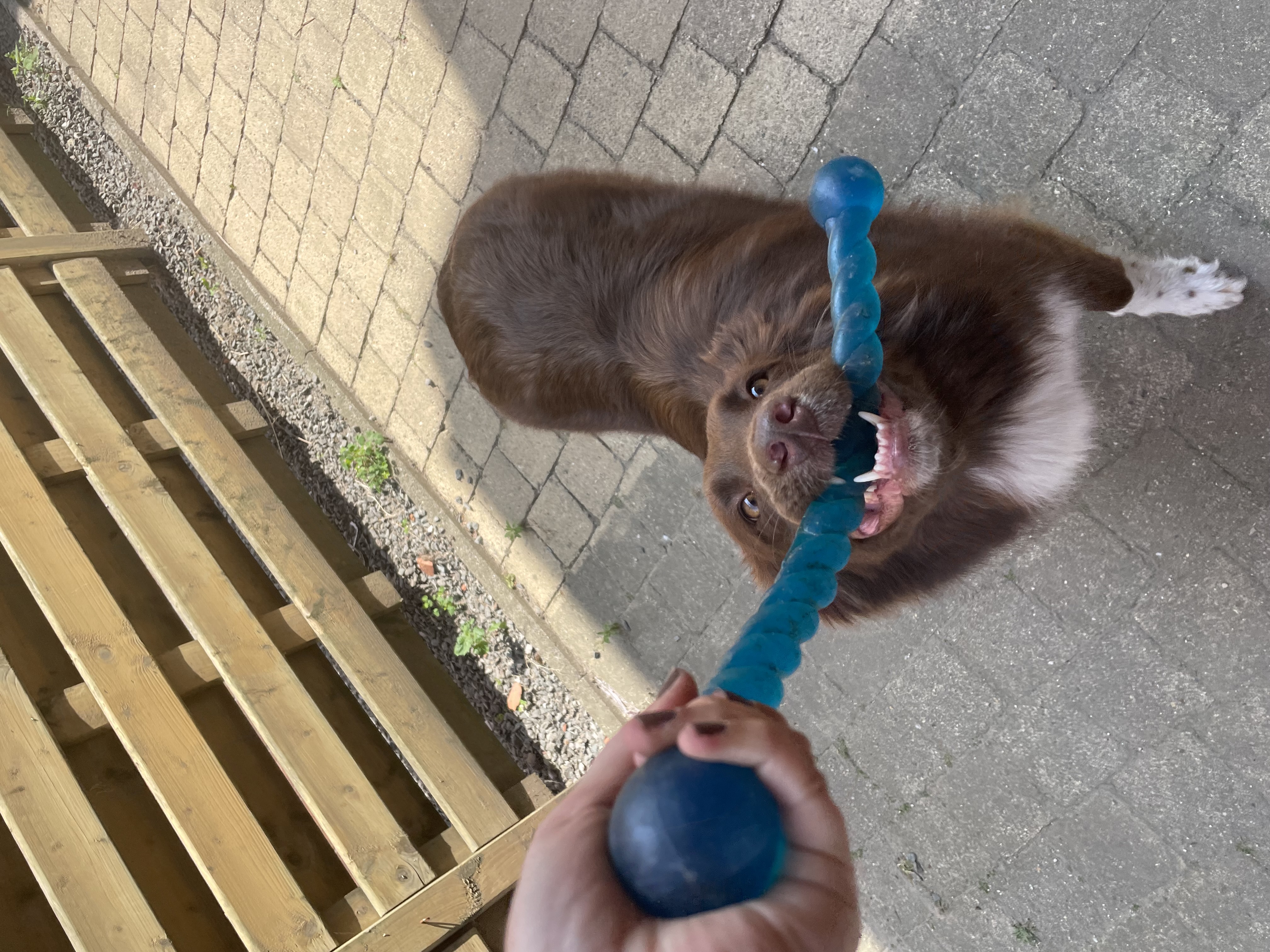 image-8
