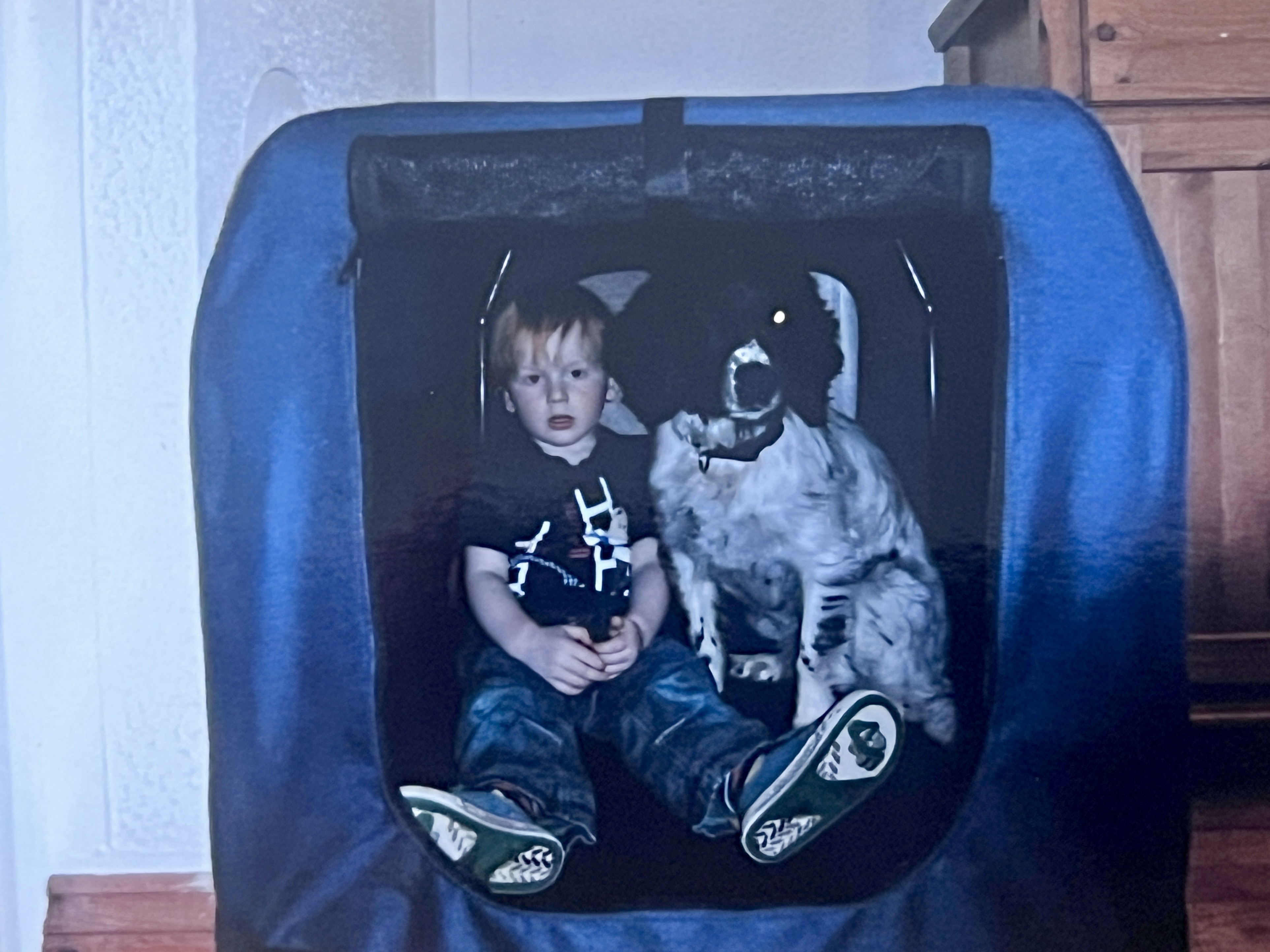 image-5