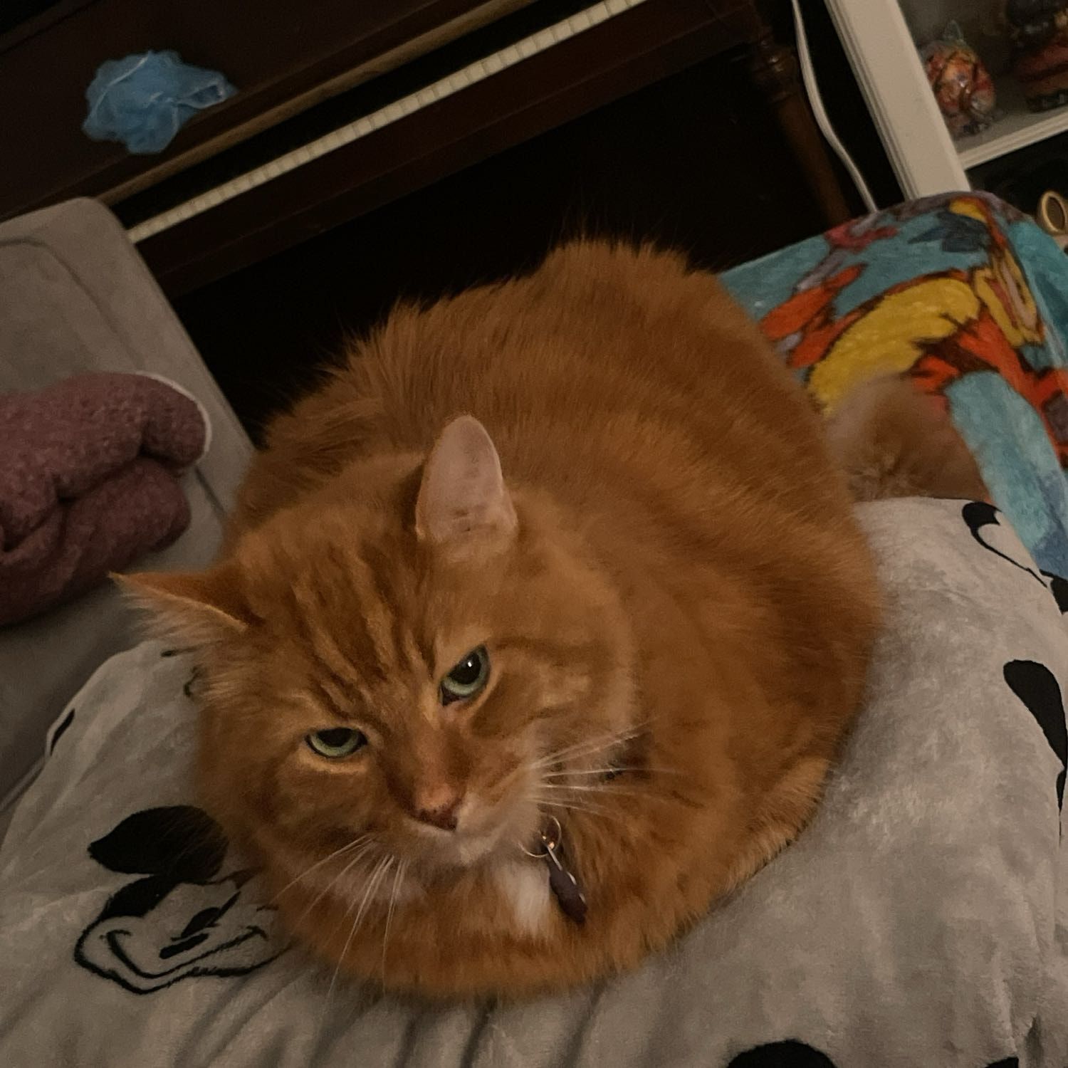 Cash
