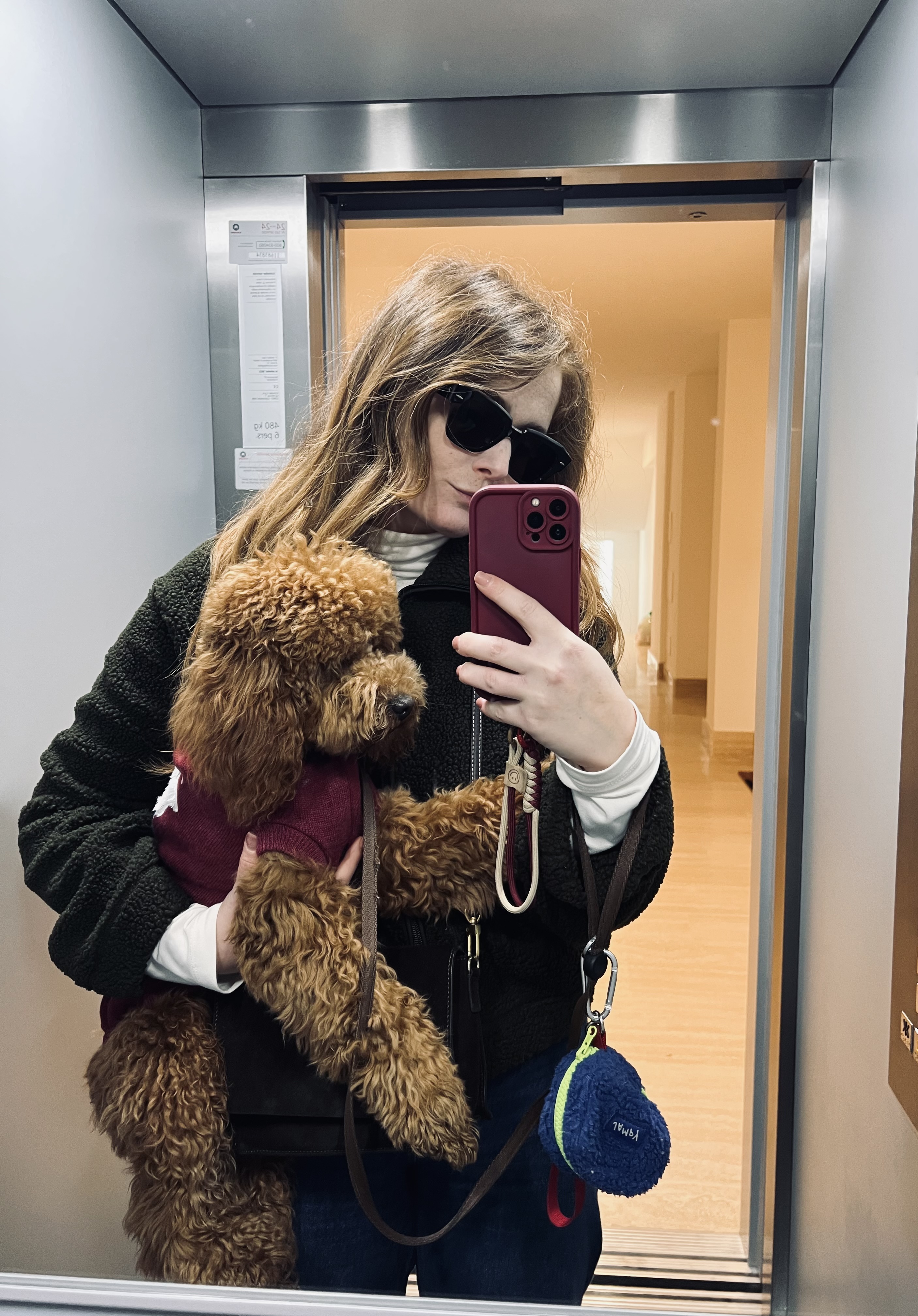 image-2