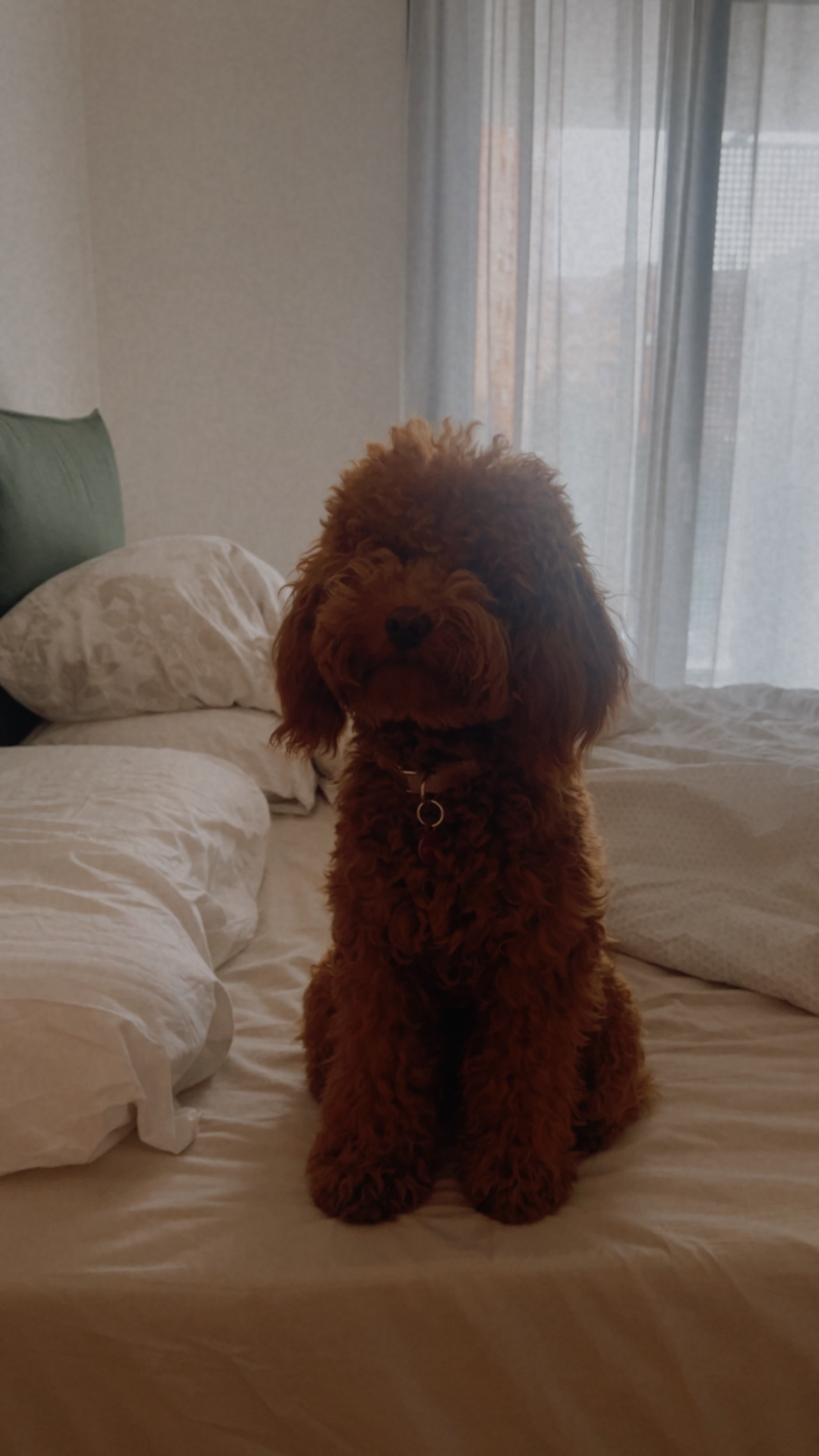 image-6