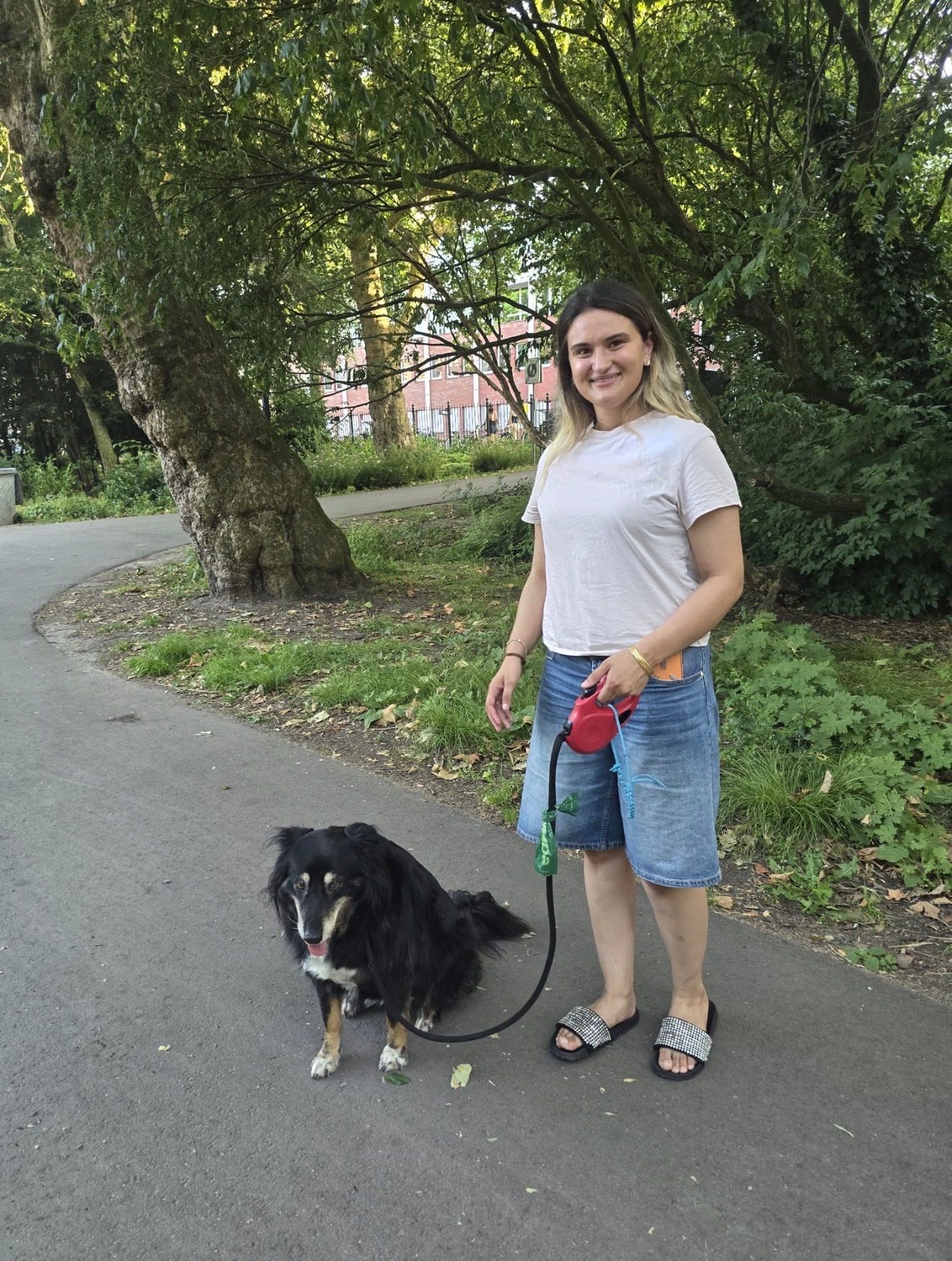 image-6