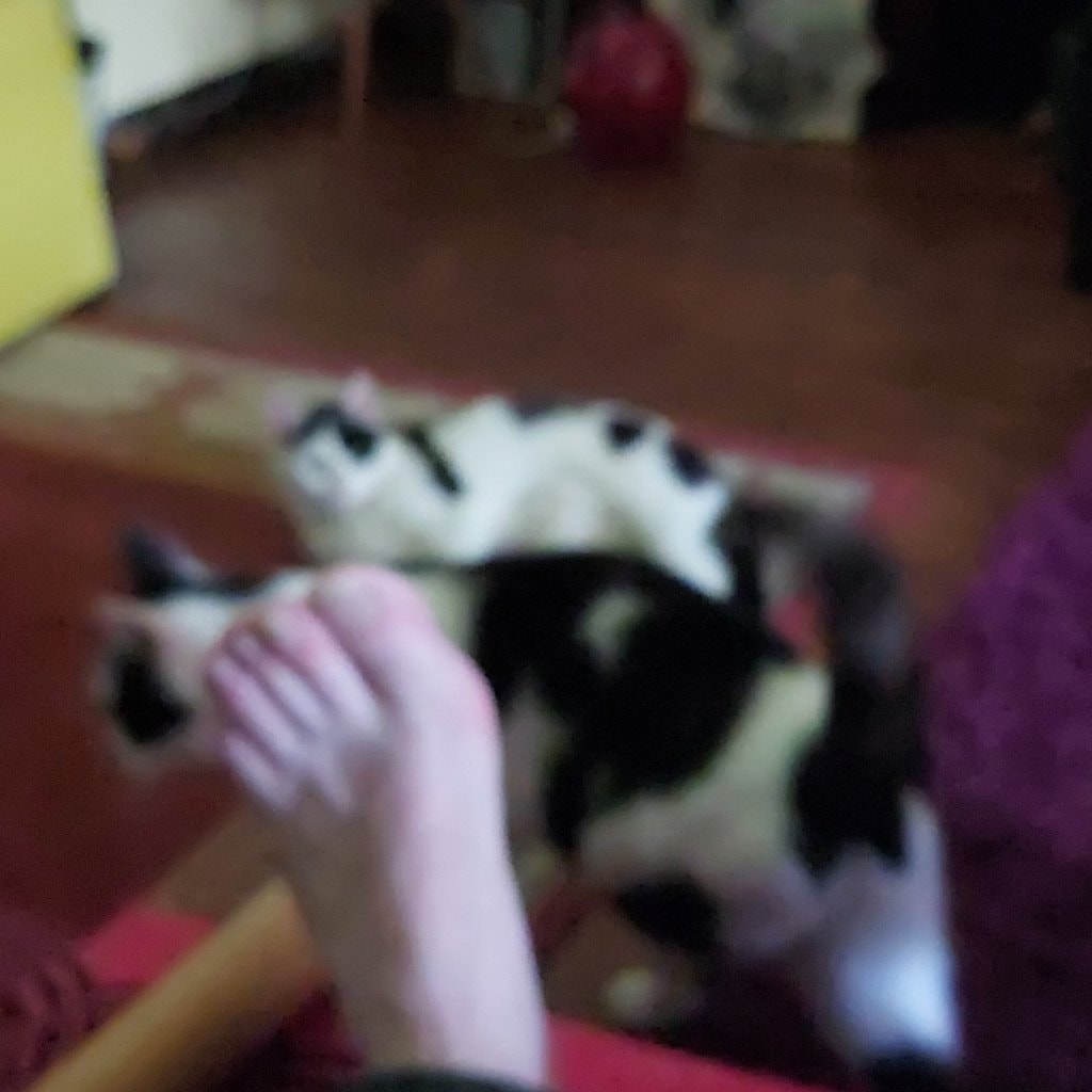 Sterretje en Maantje