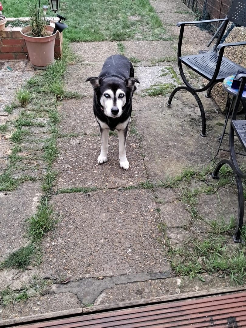 image-16