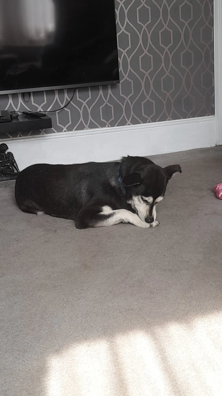 image-12