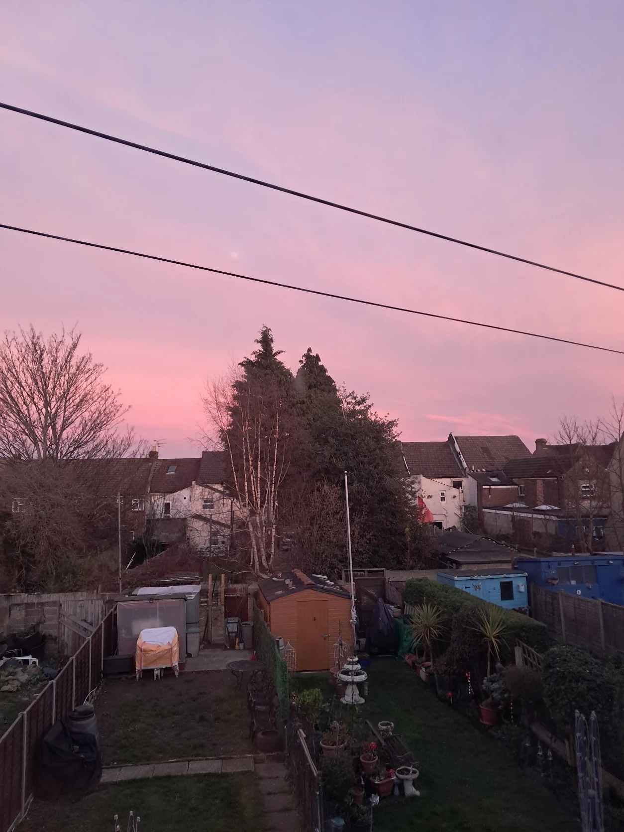 image-17