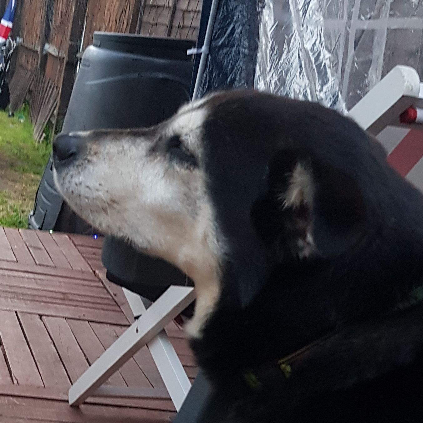Skye