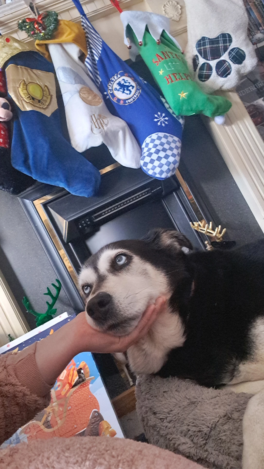 image-9