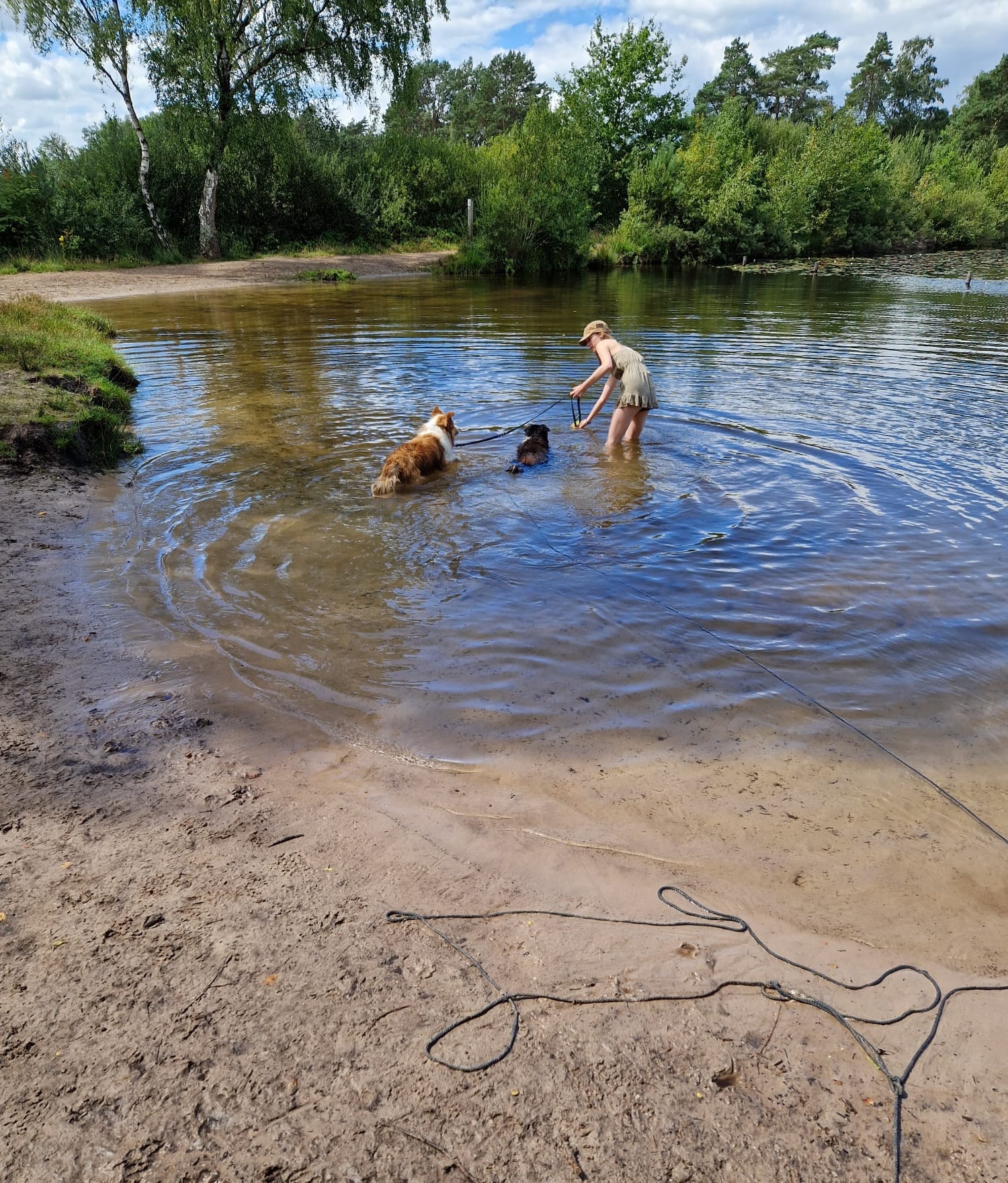 image-5