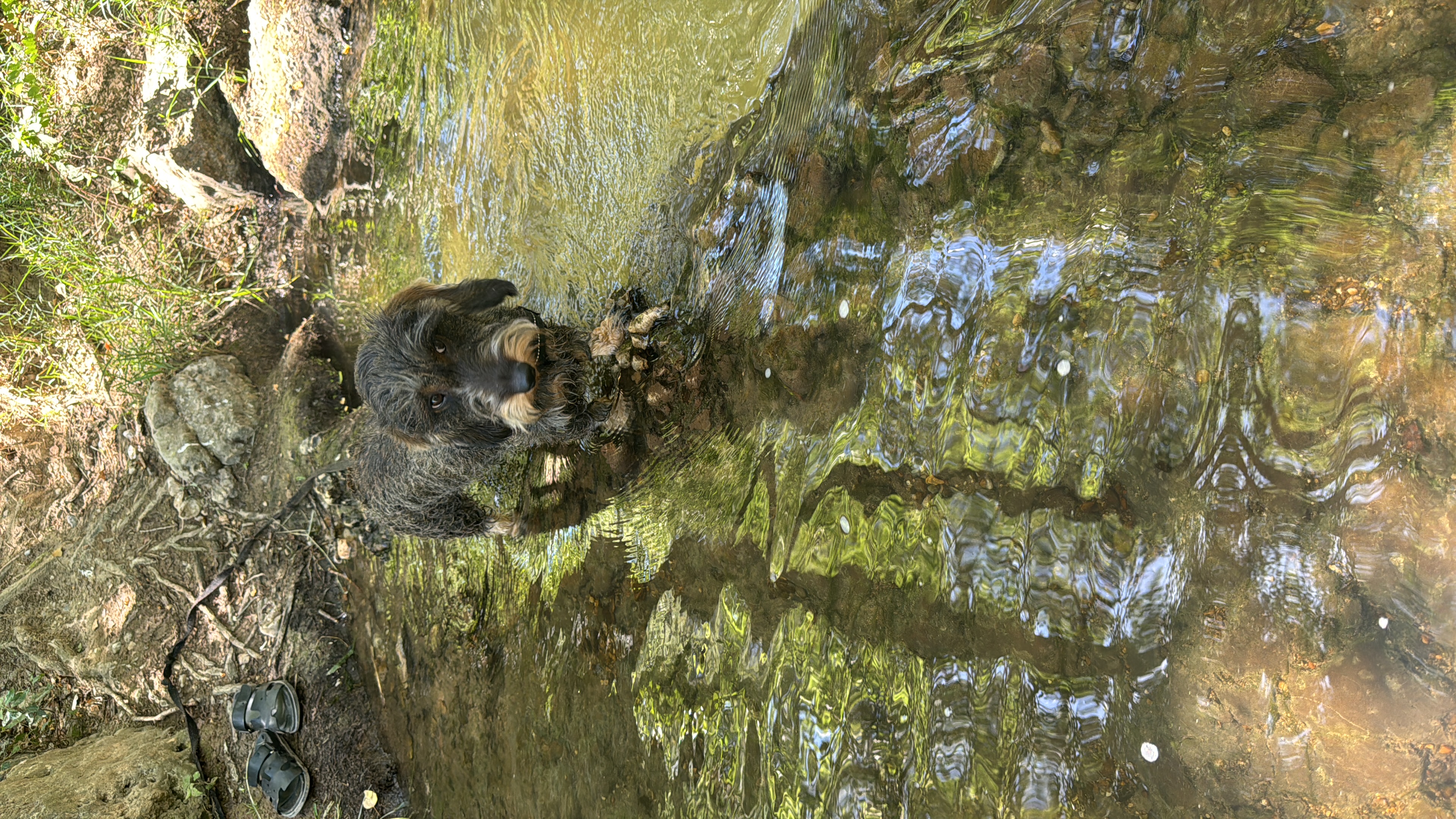image-18