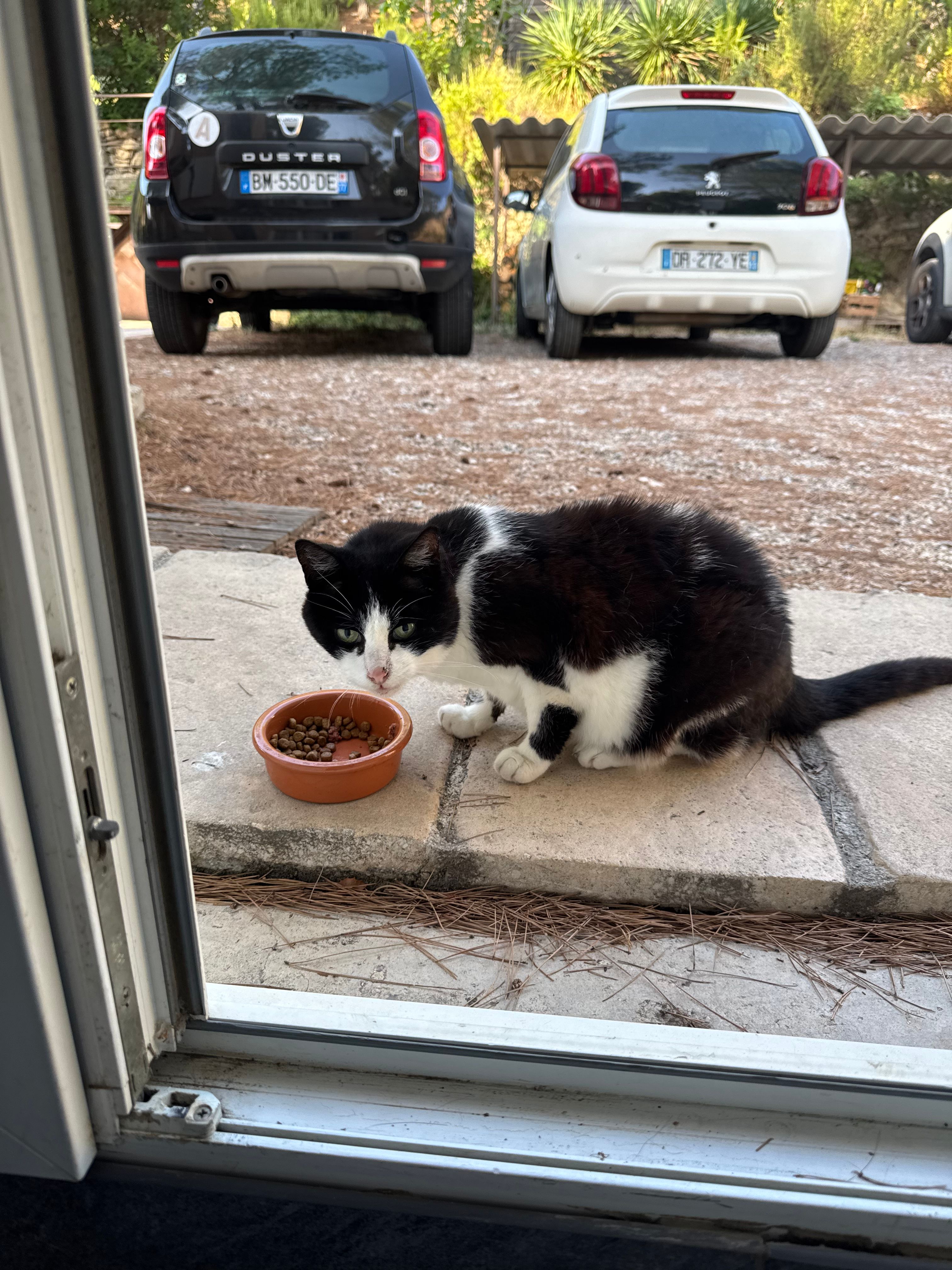image-15