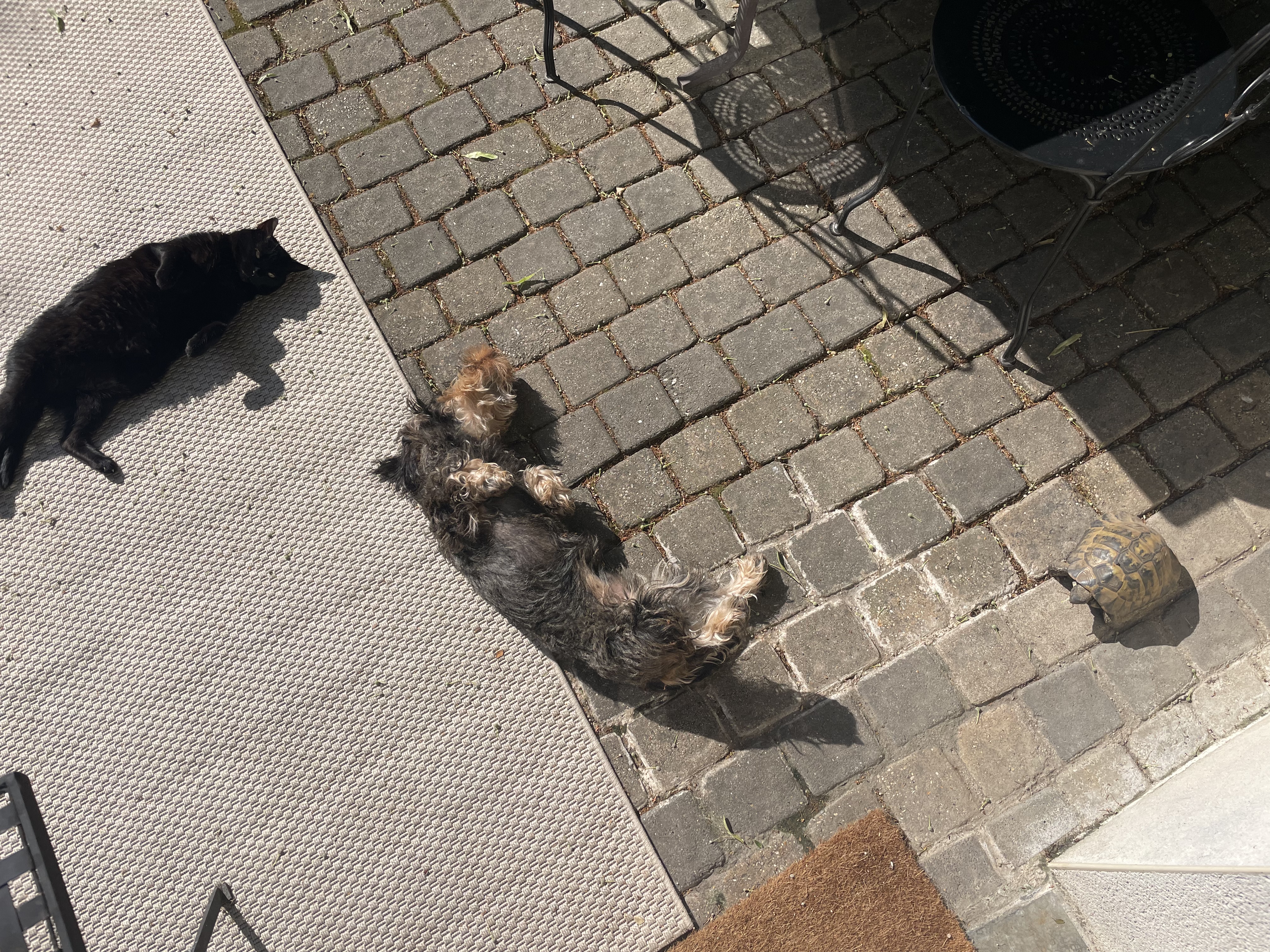 image-8