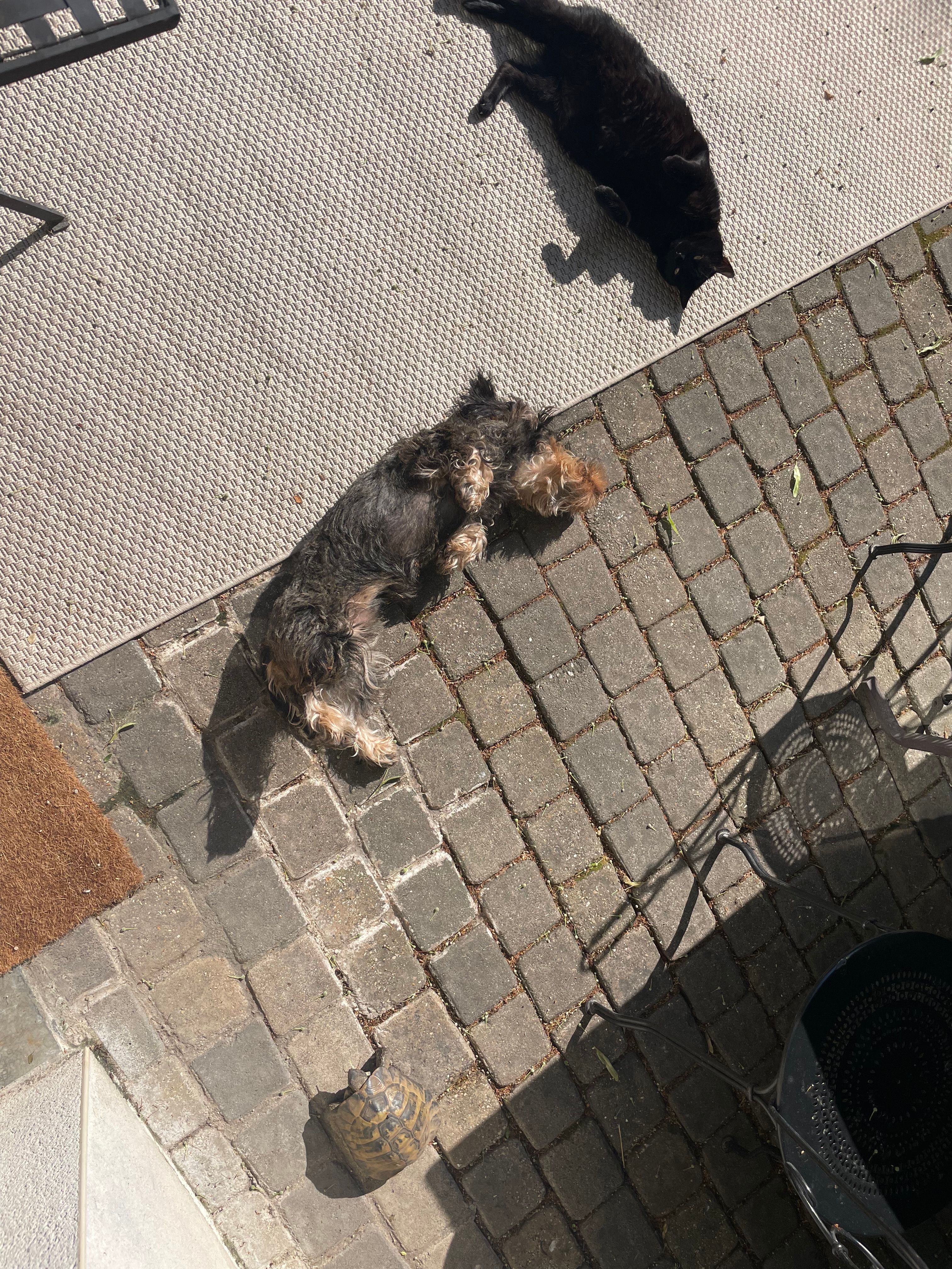 image-8