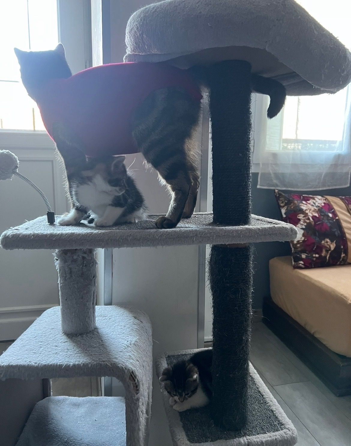 image-6