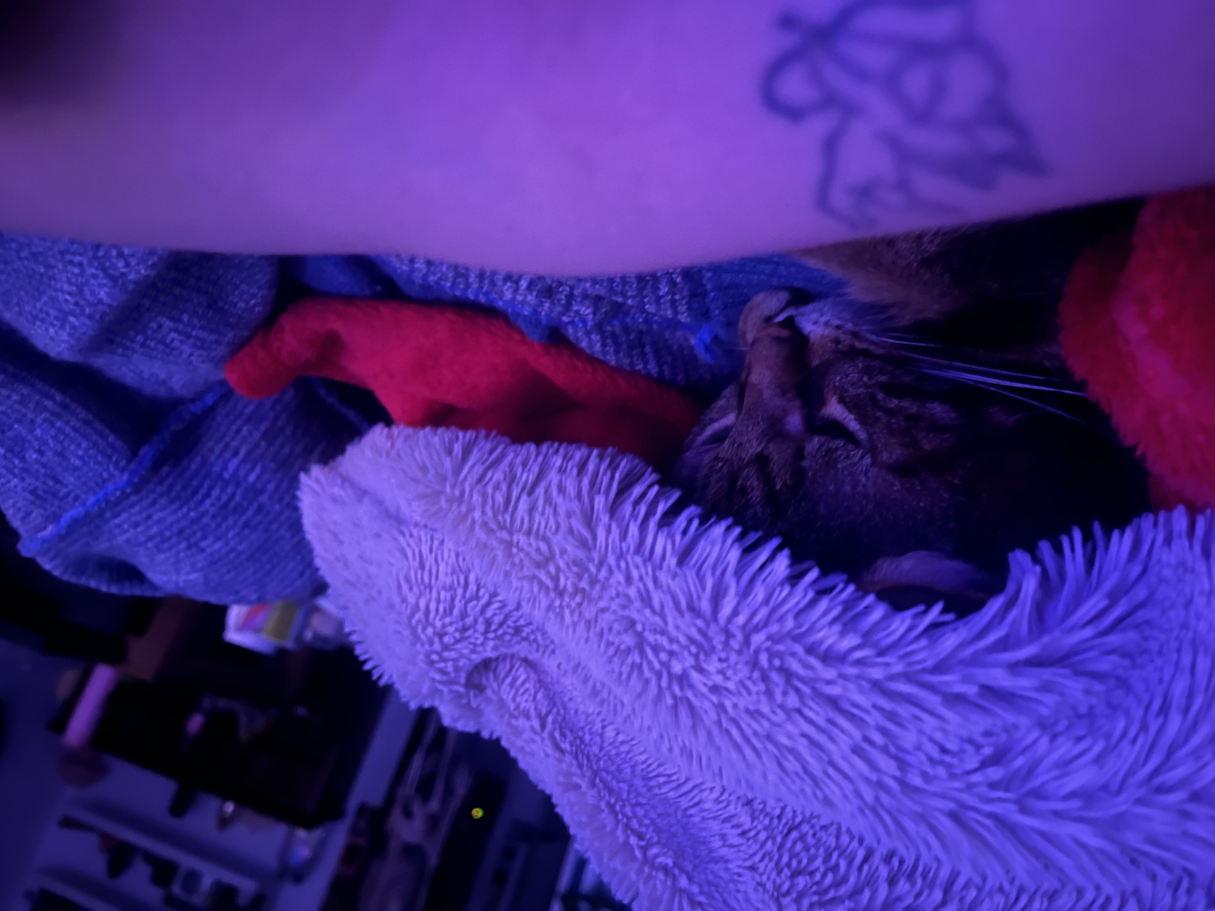 image-7