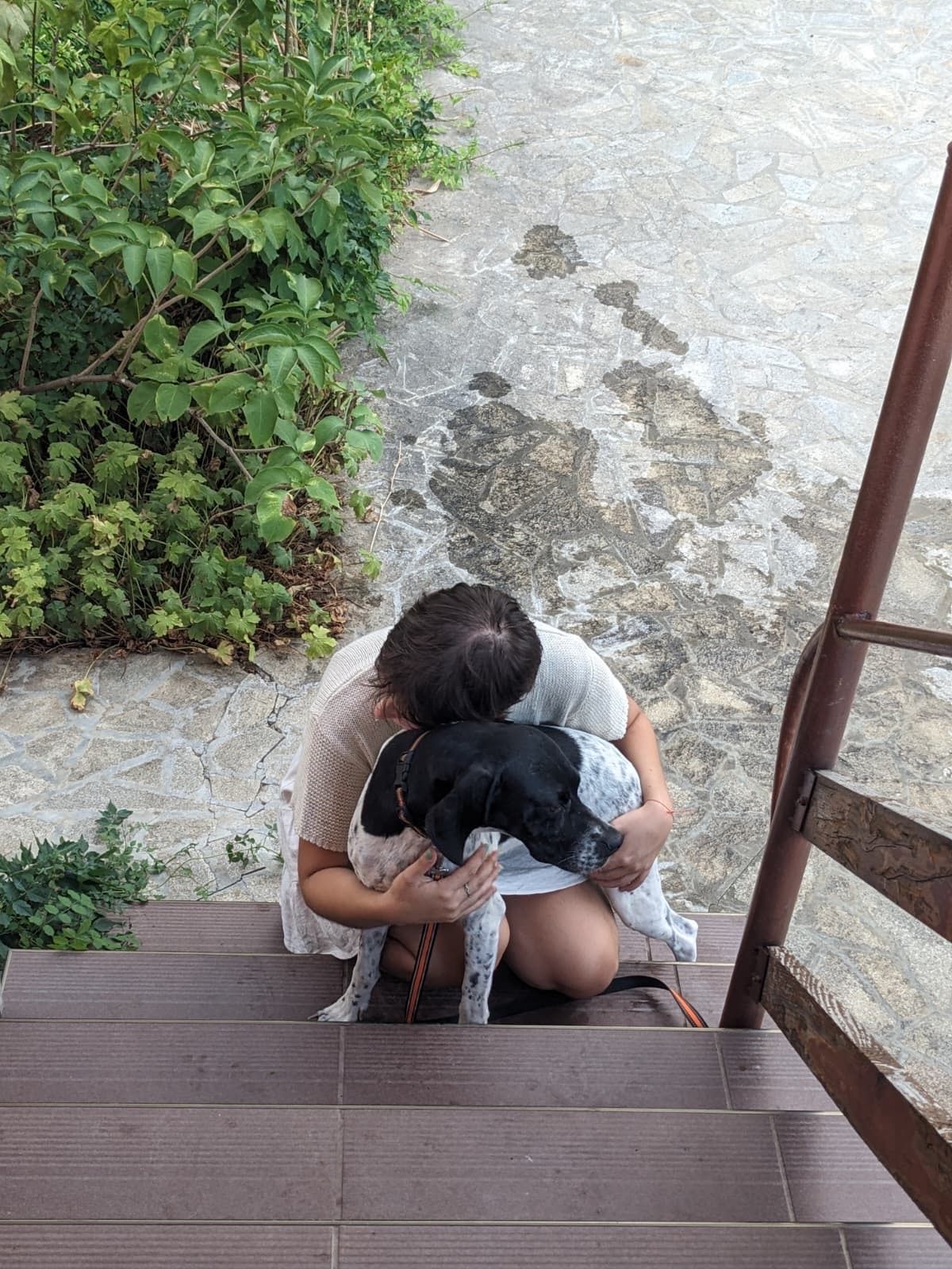 image-5