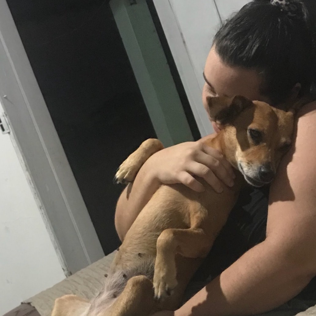 Belinha