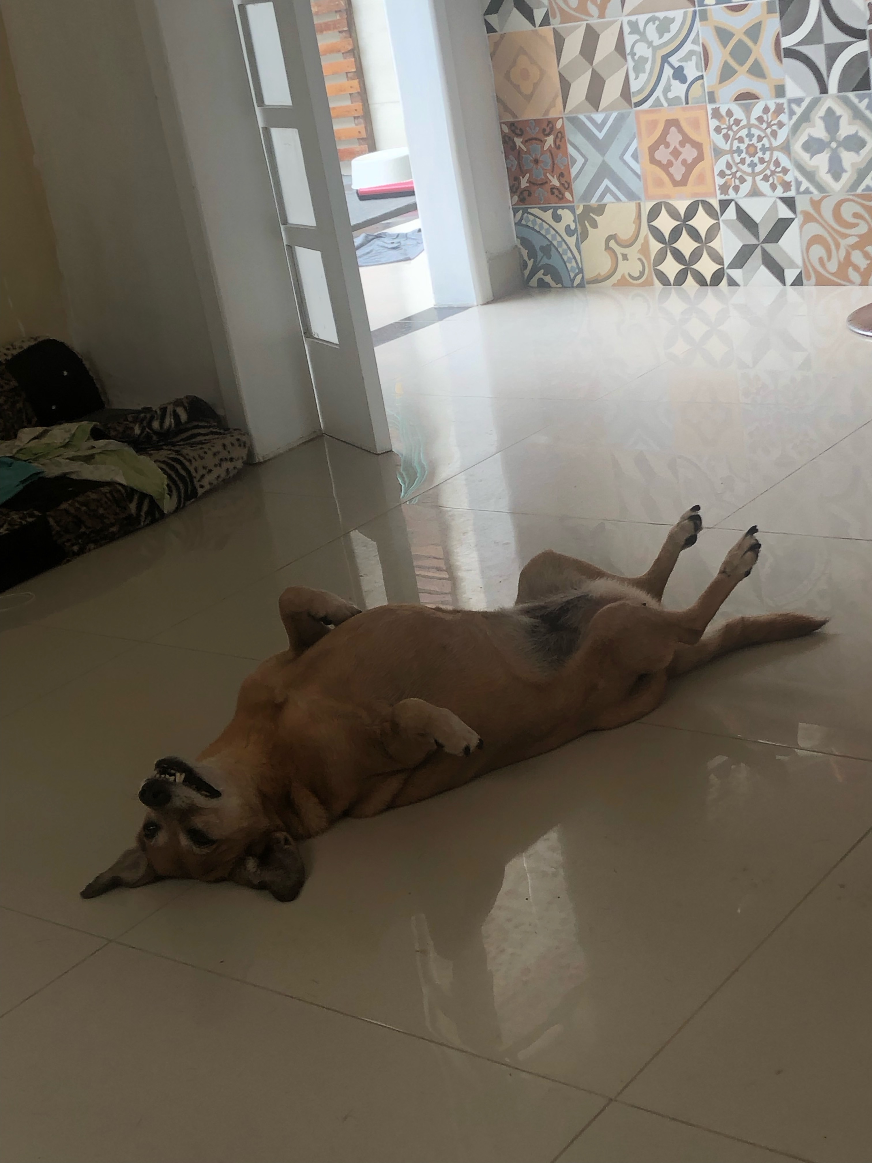 image-16