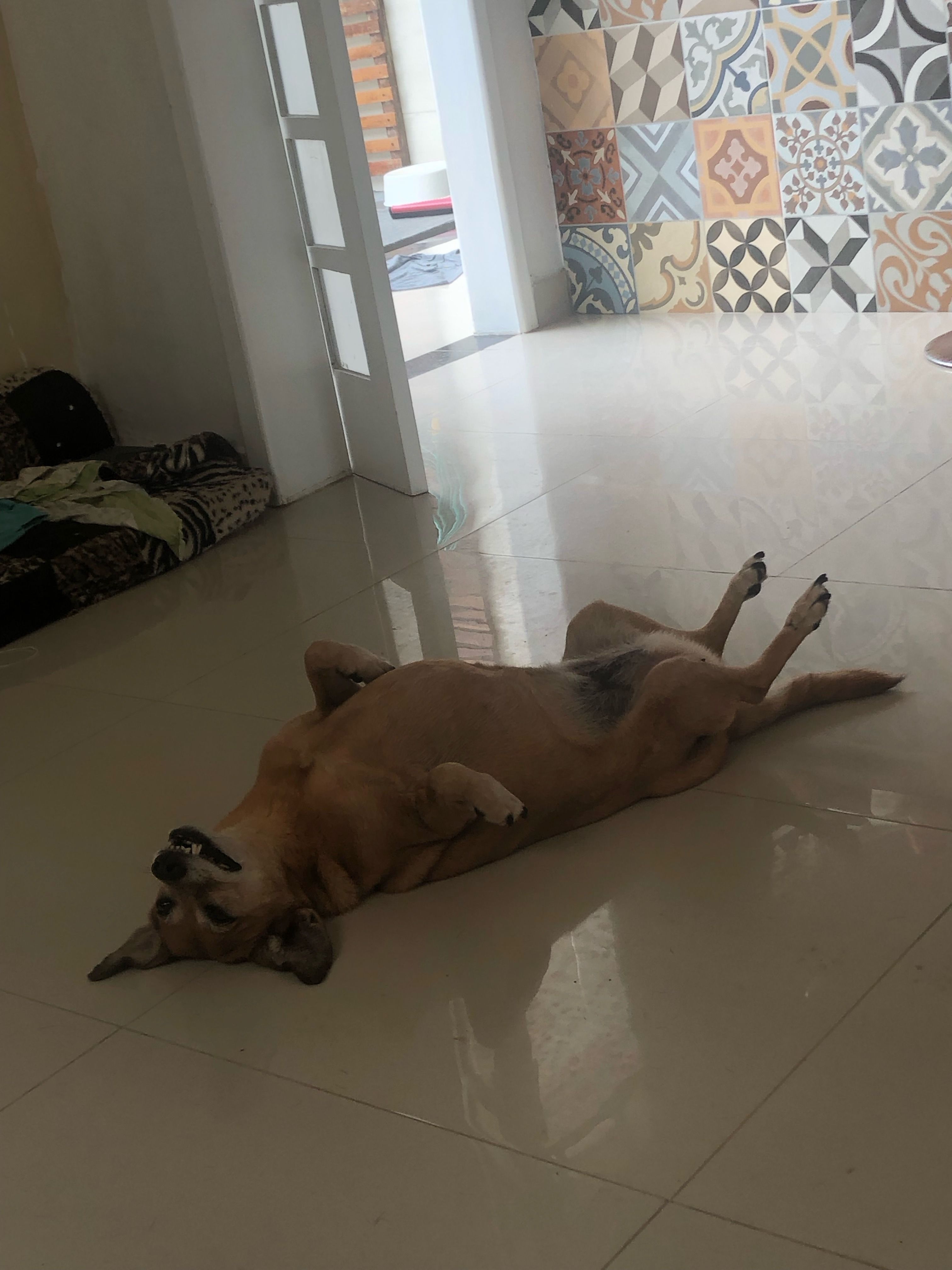 image-16
