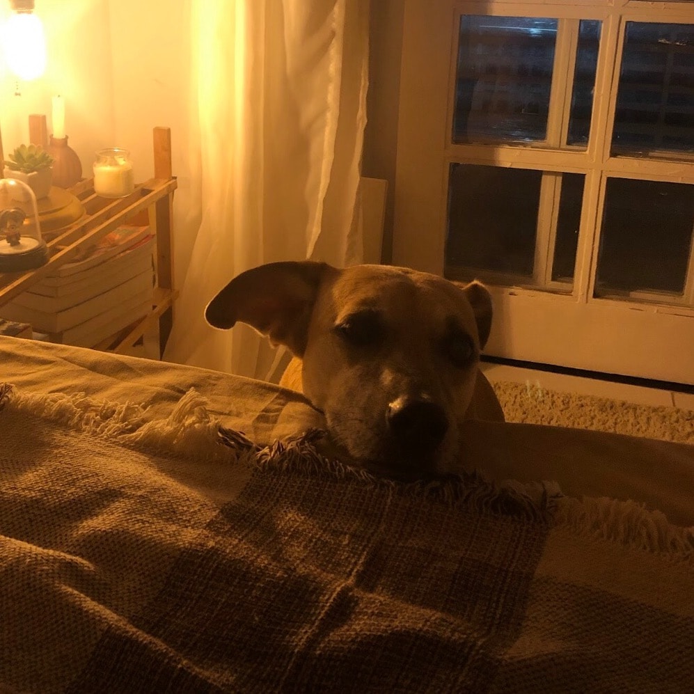 Luna 