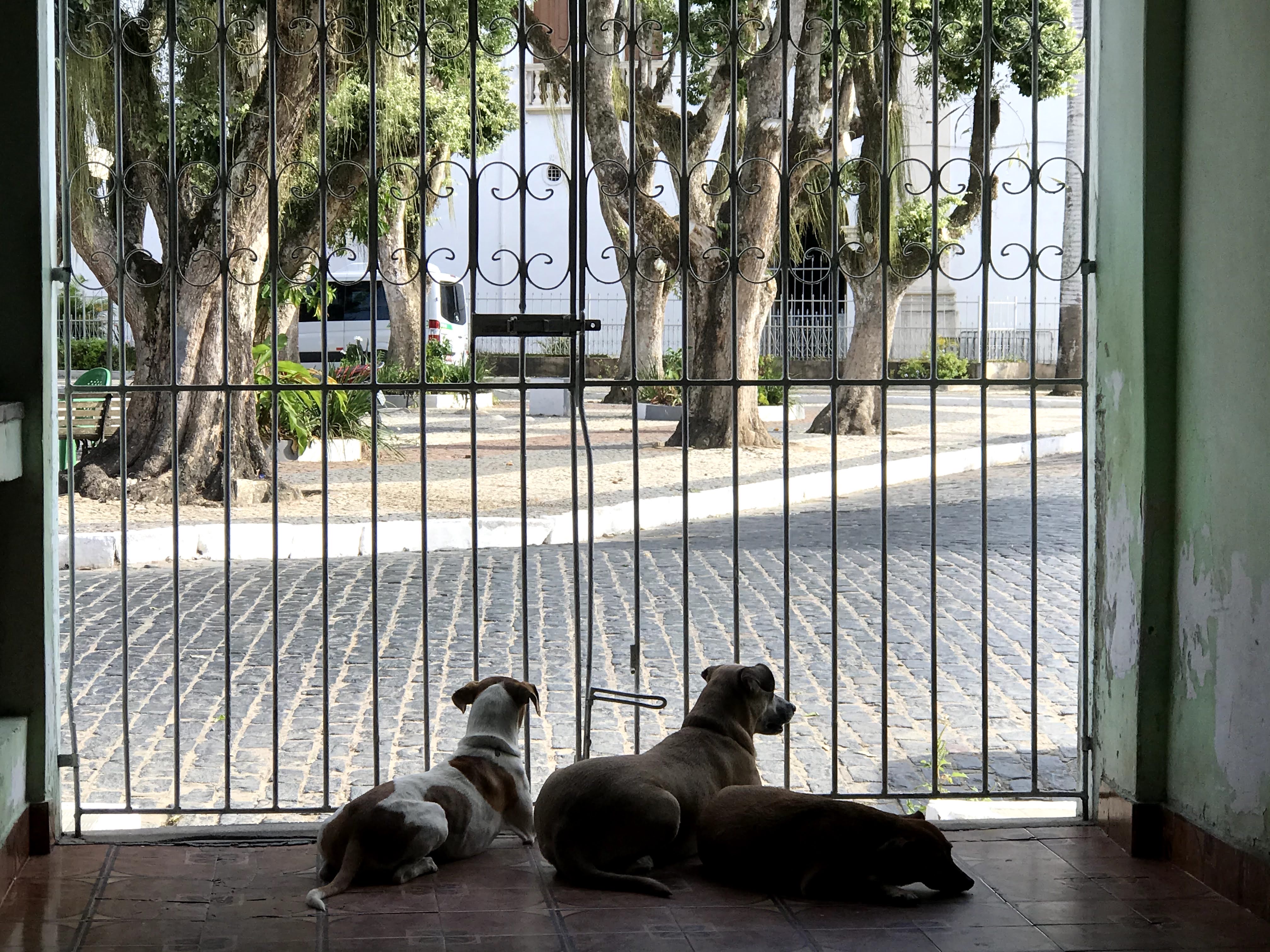 image-18