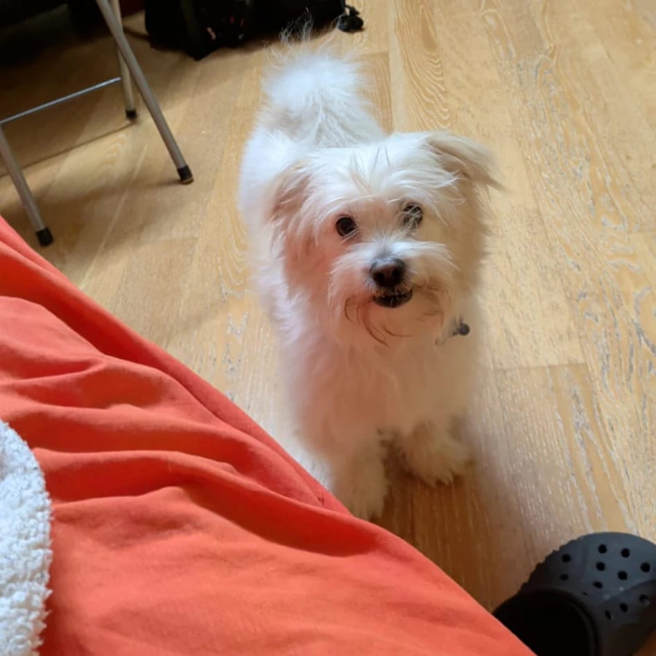 Axel