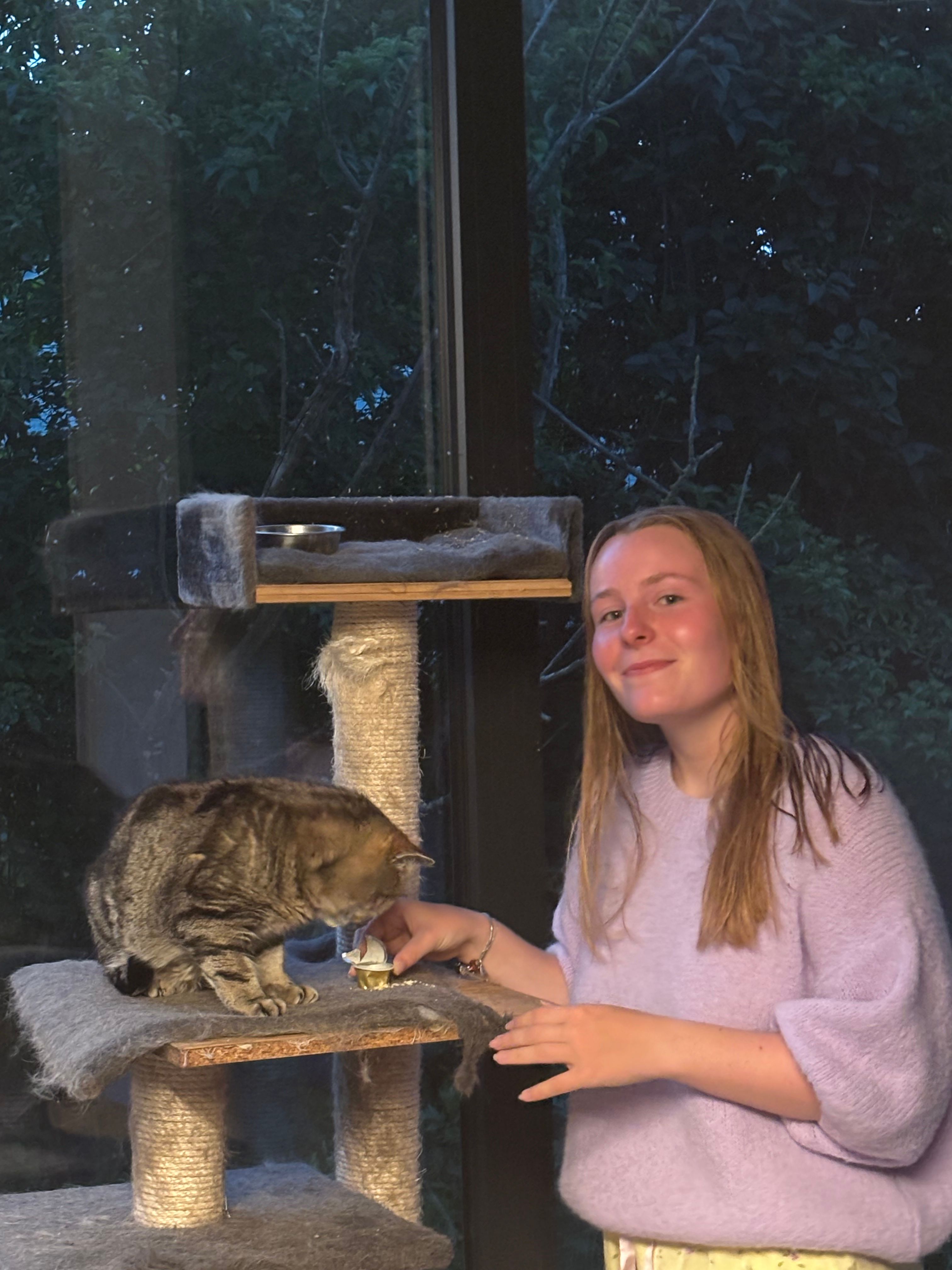 image-6