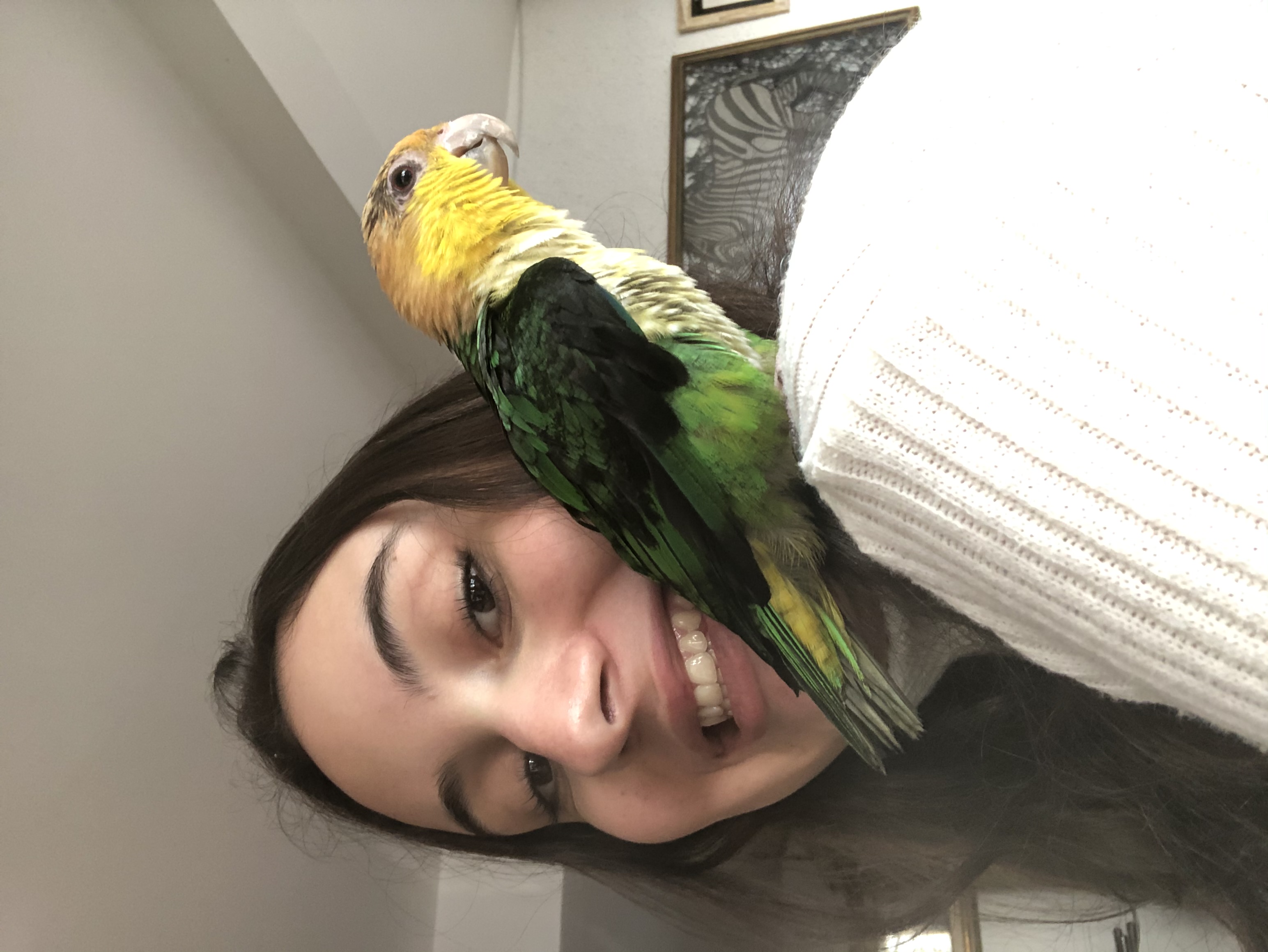 image-8