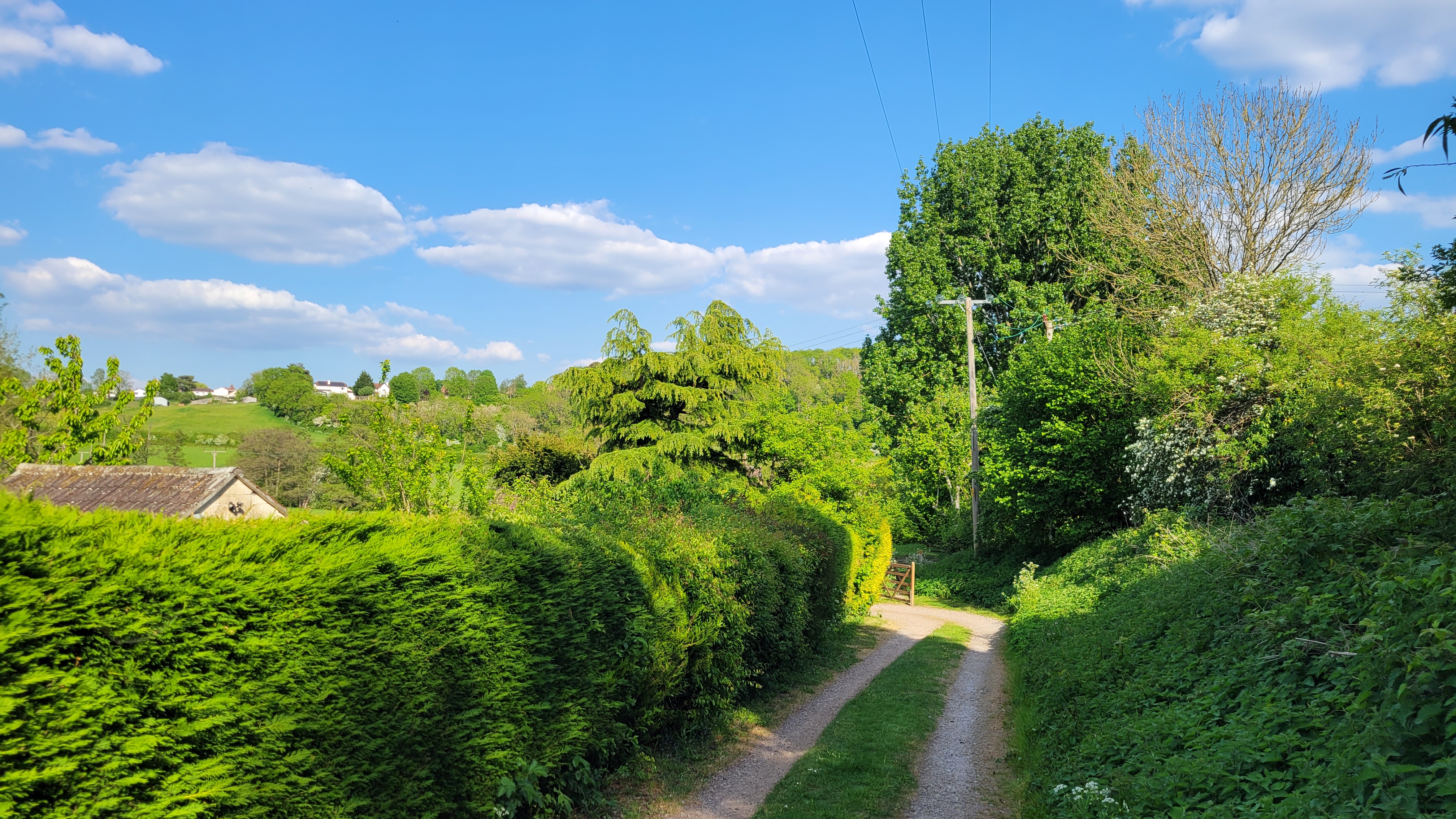 image-14