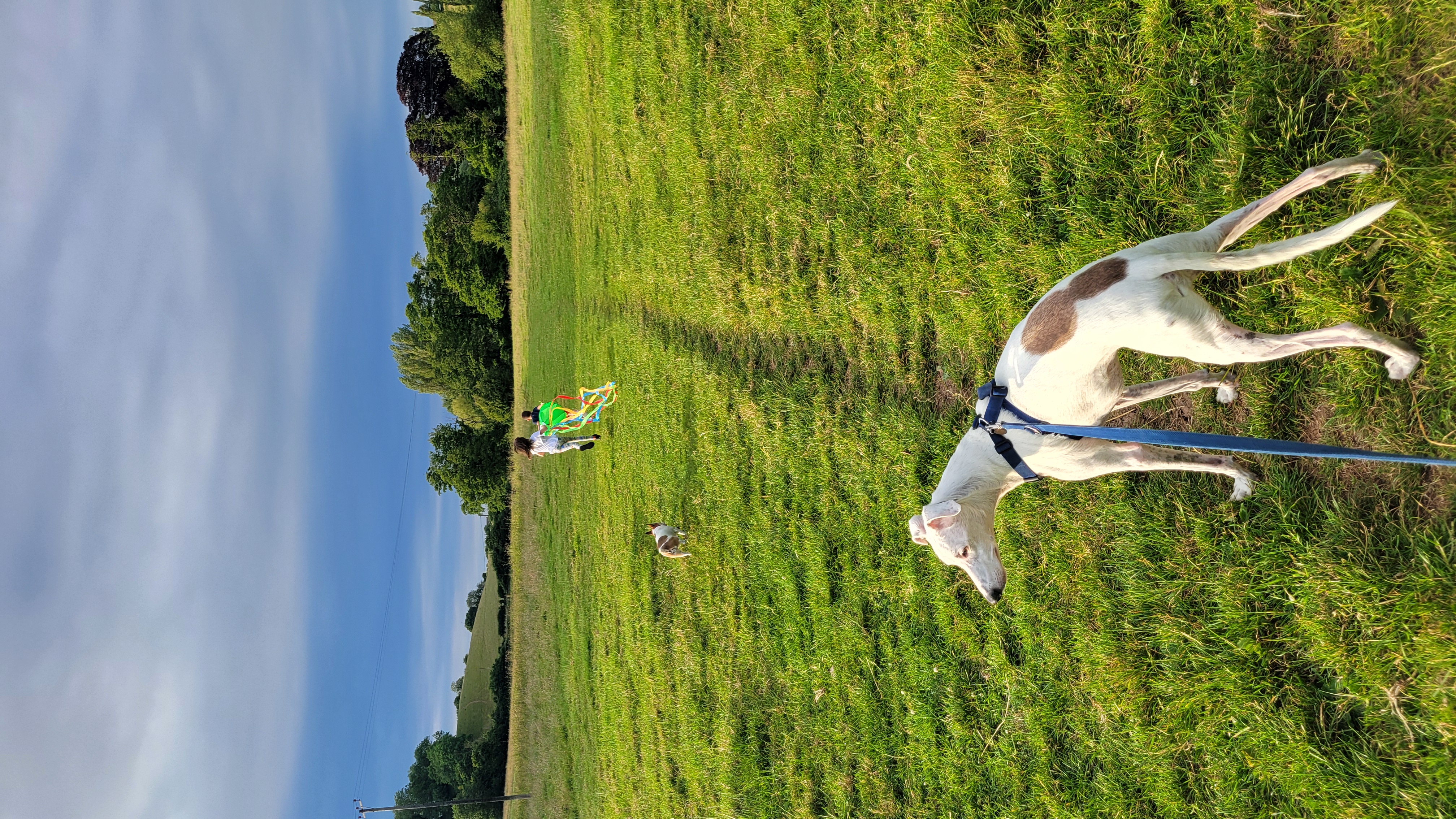image-5