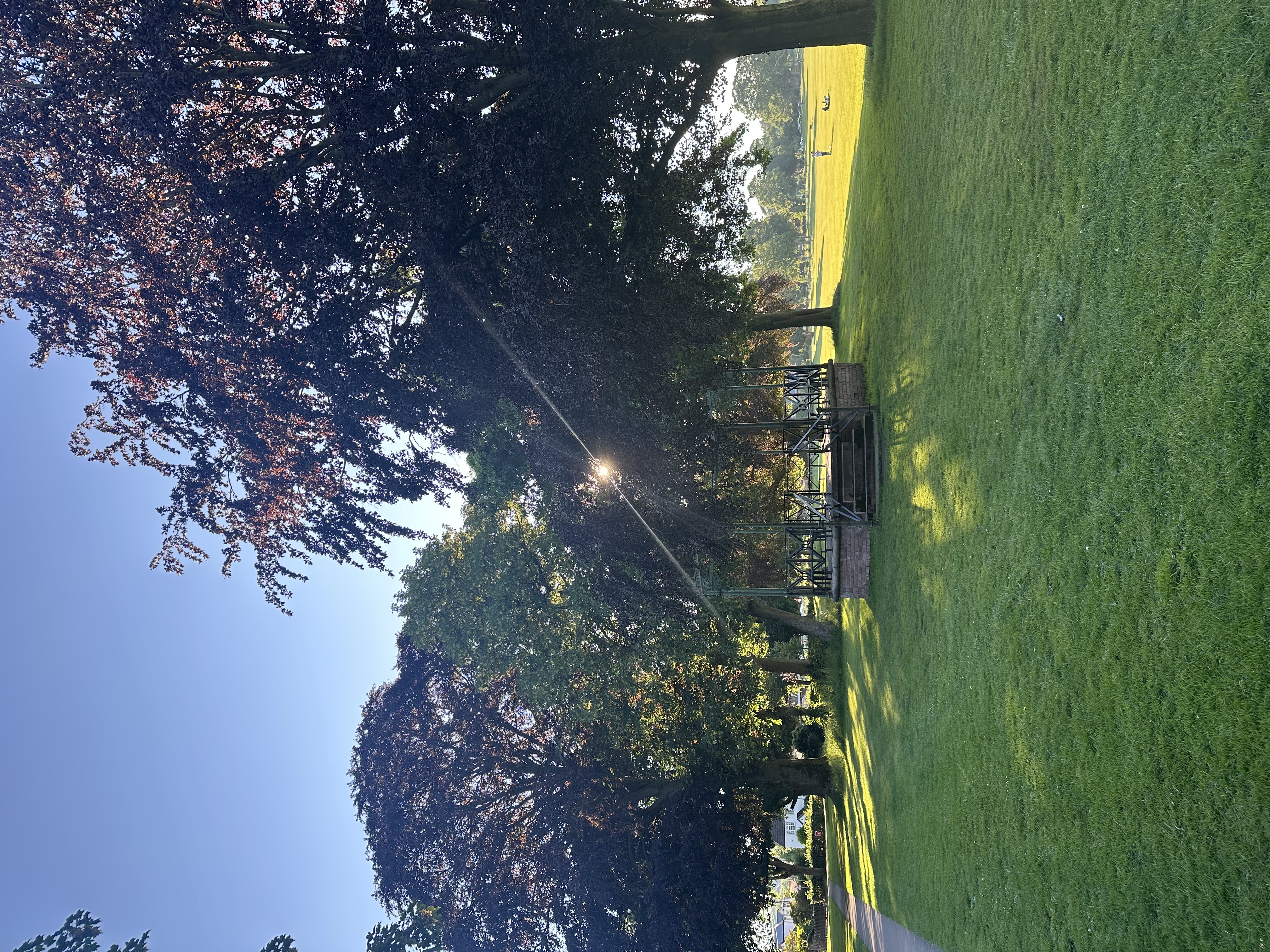 image-11