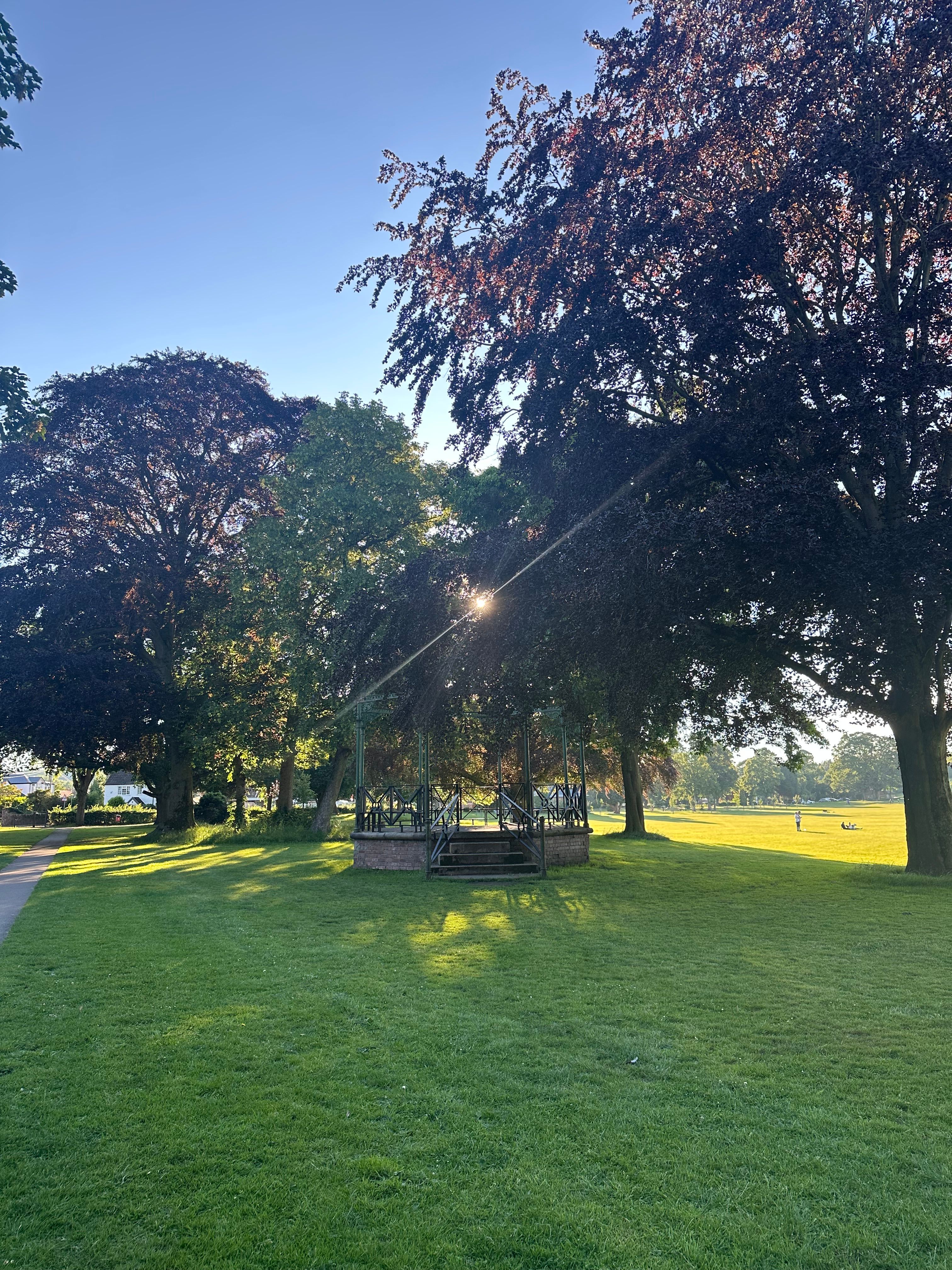image-11