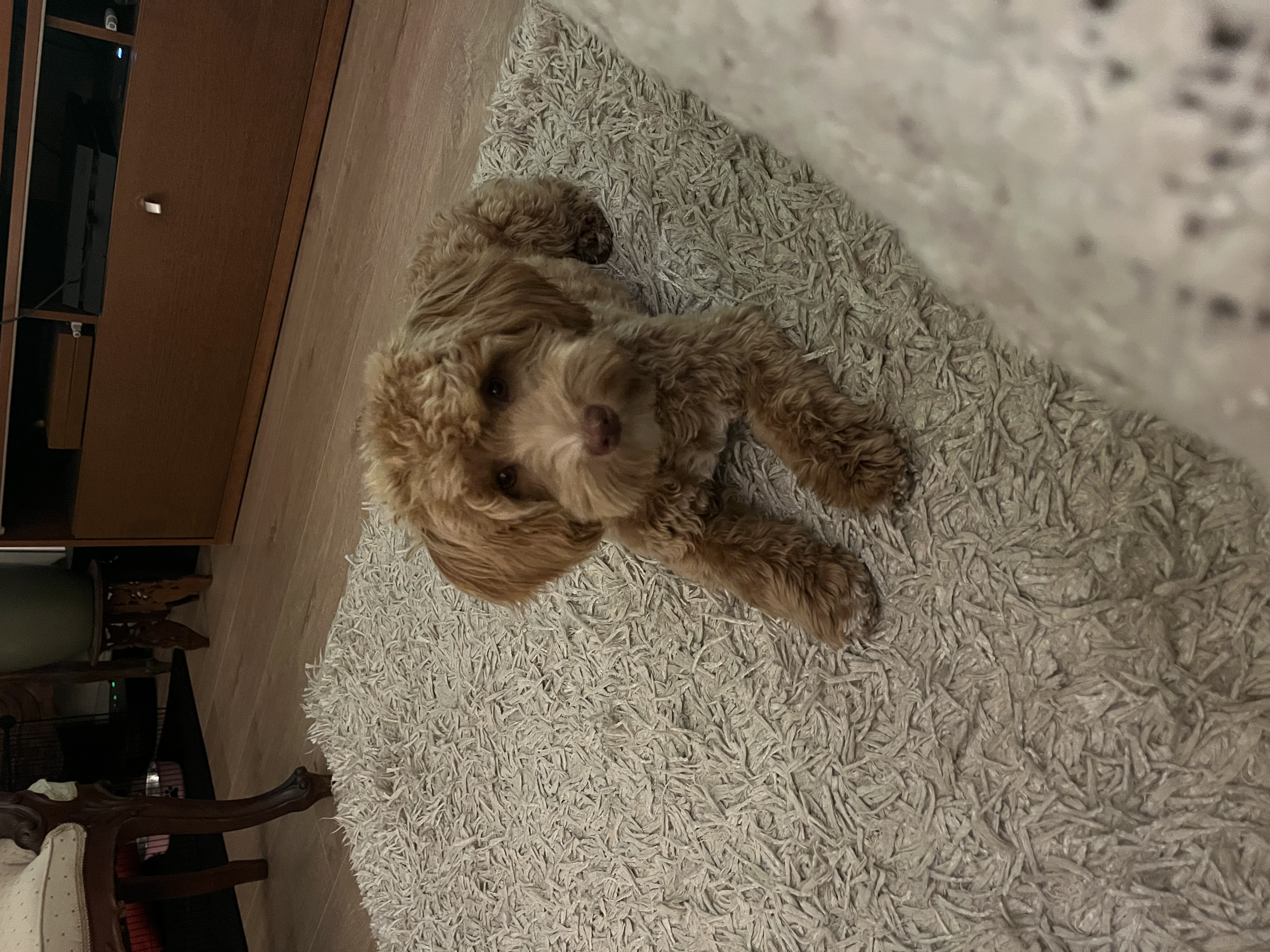image-6